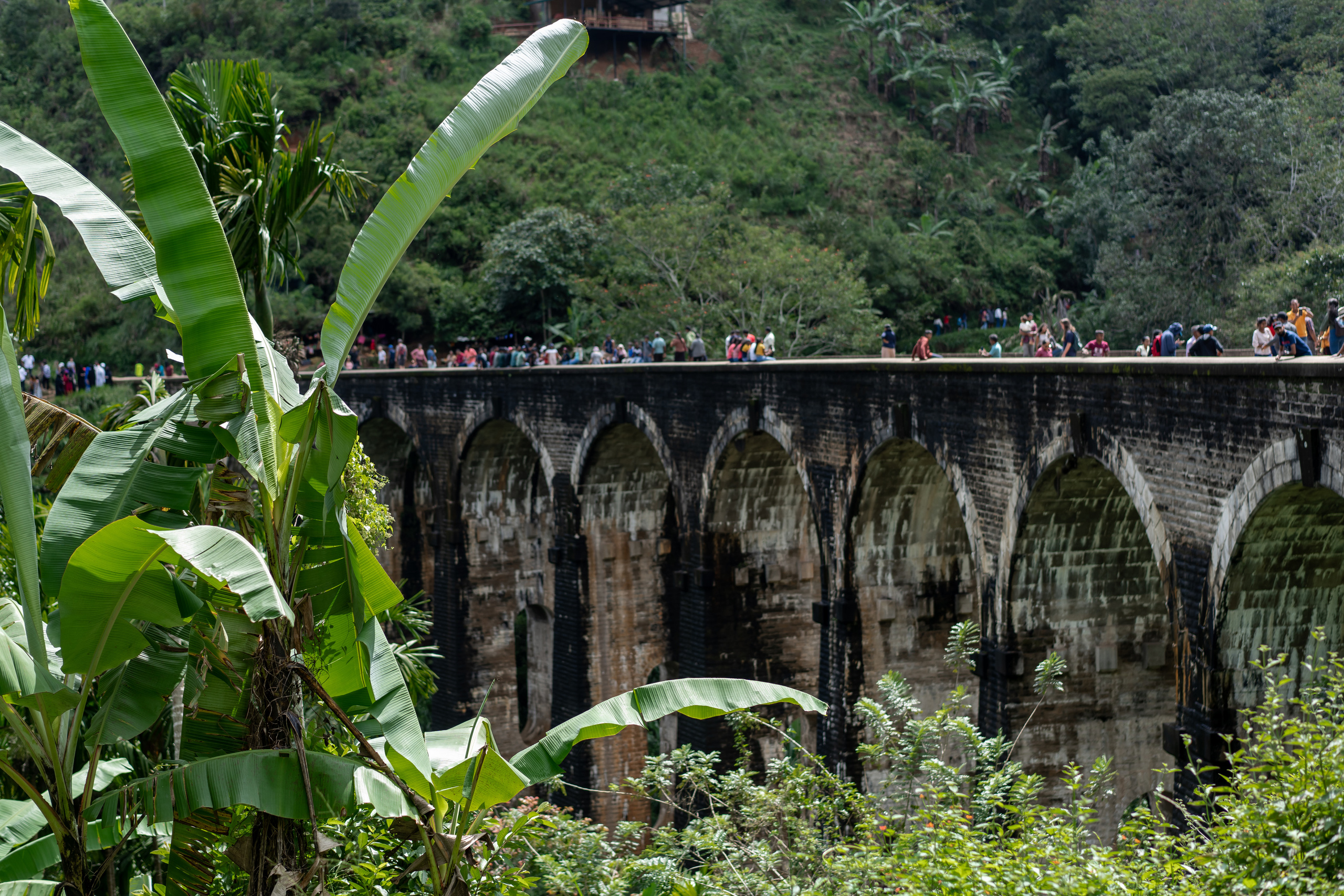 Sri Lanka'ya Seyahat Etmenin Artıları ve Eksileri - Kapsamlı Bir Rehbe
