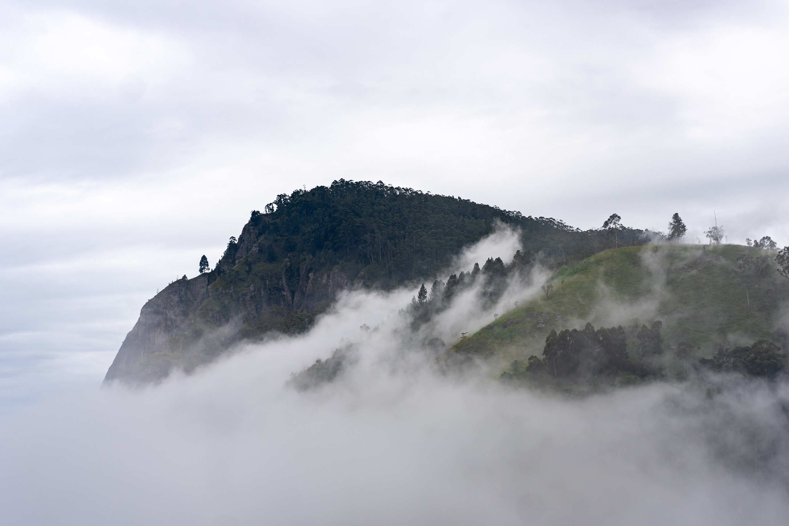 Sri Lanka'ya Seyahat Etmenin Artıları ve Eksileri - Kapsamlı Bir Rehbe