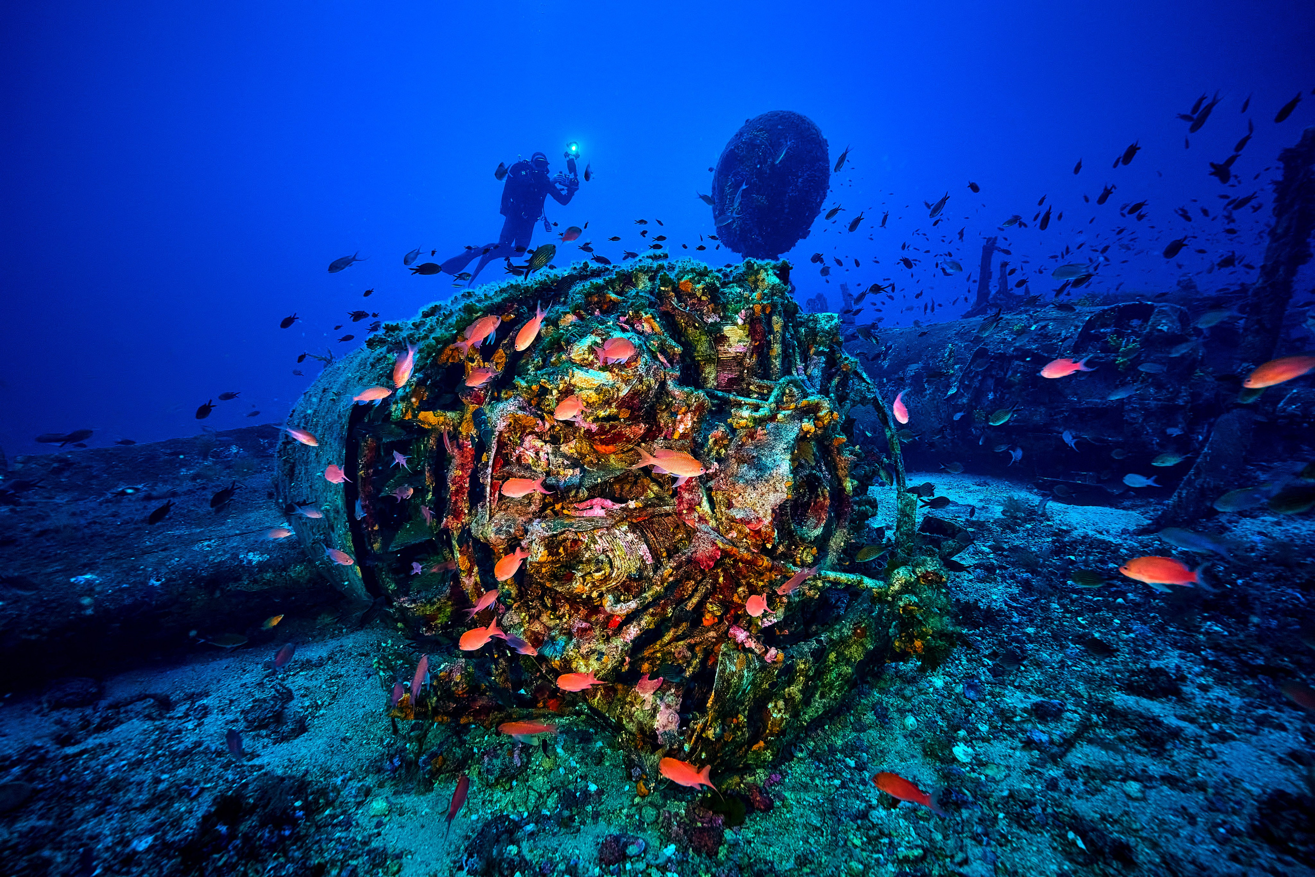 Moje TOP-36 zdjęć z roku 2025. Андрей Шипилов — Фотография & Видеография