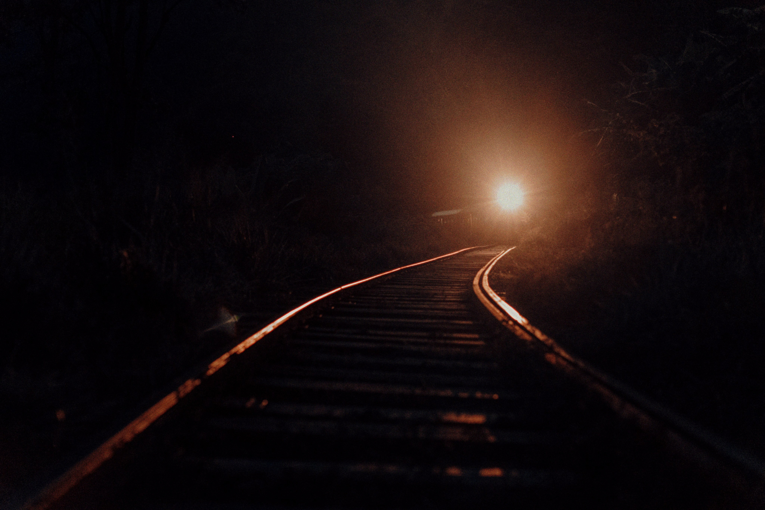 Плюшки. Фотограф Андрей Друк