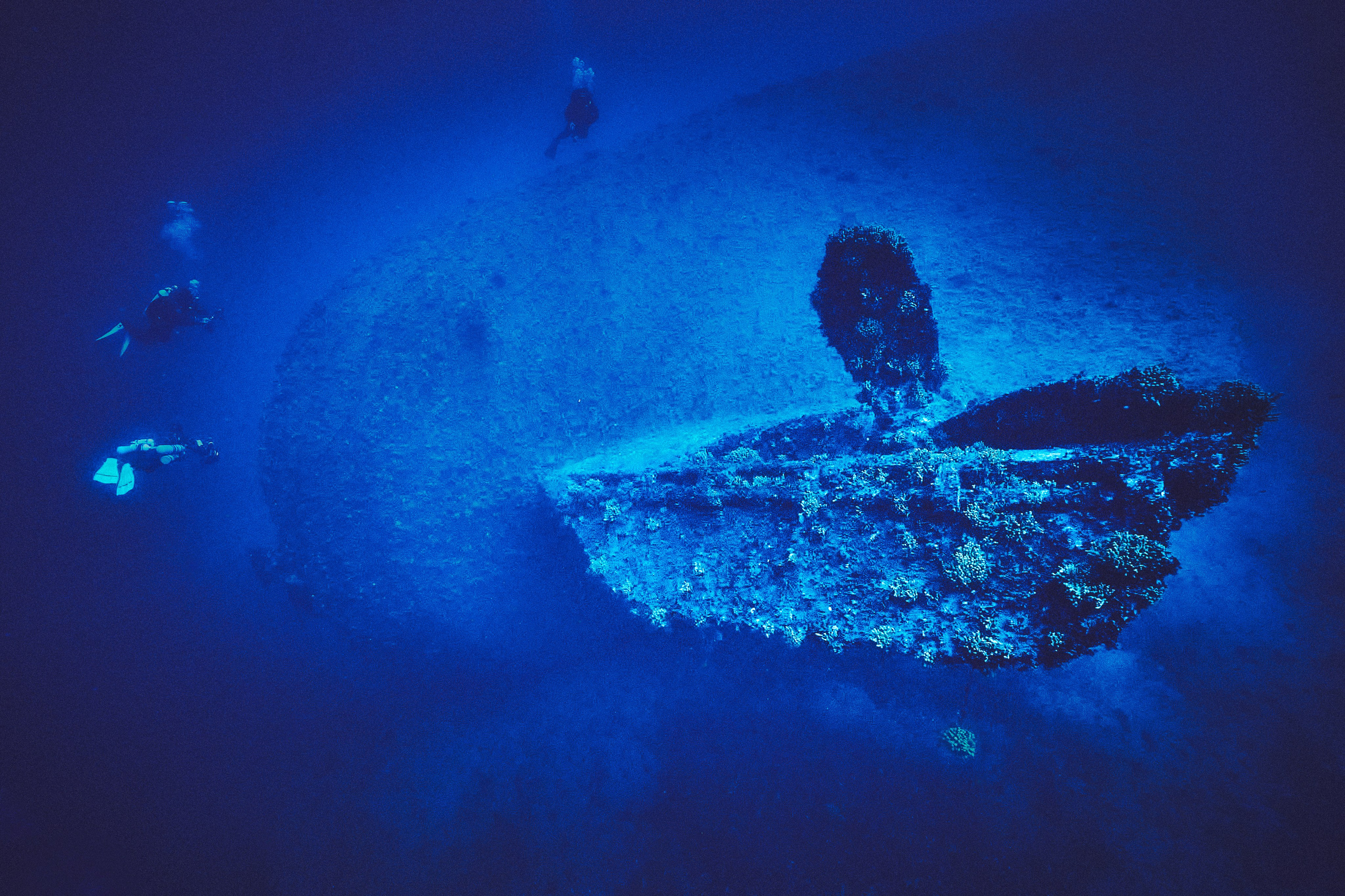 Moje TOP-36 zdjęć z roku 2025. Андрей Шипилов — Фотография & Видеография