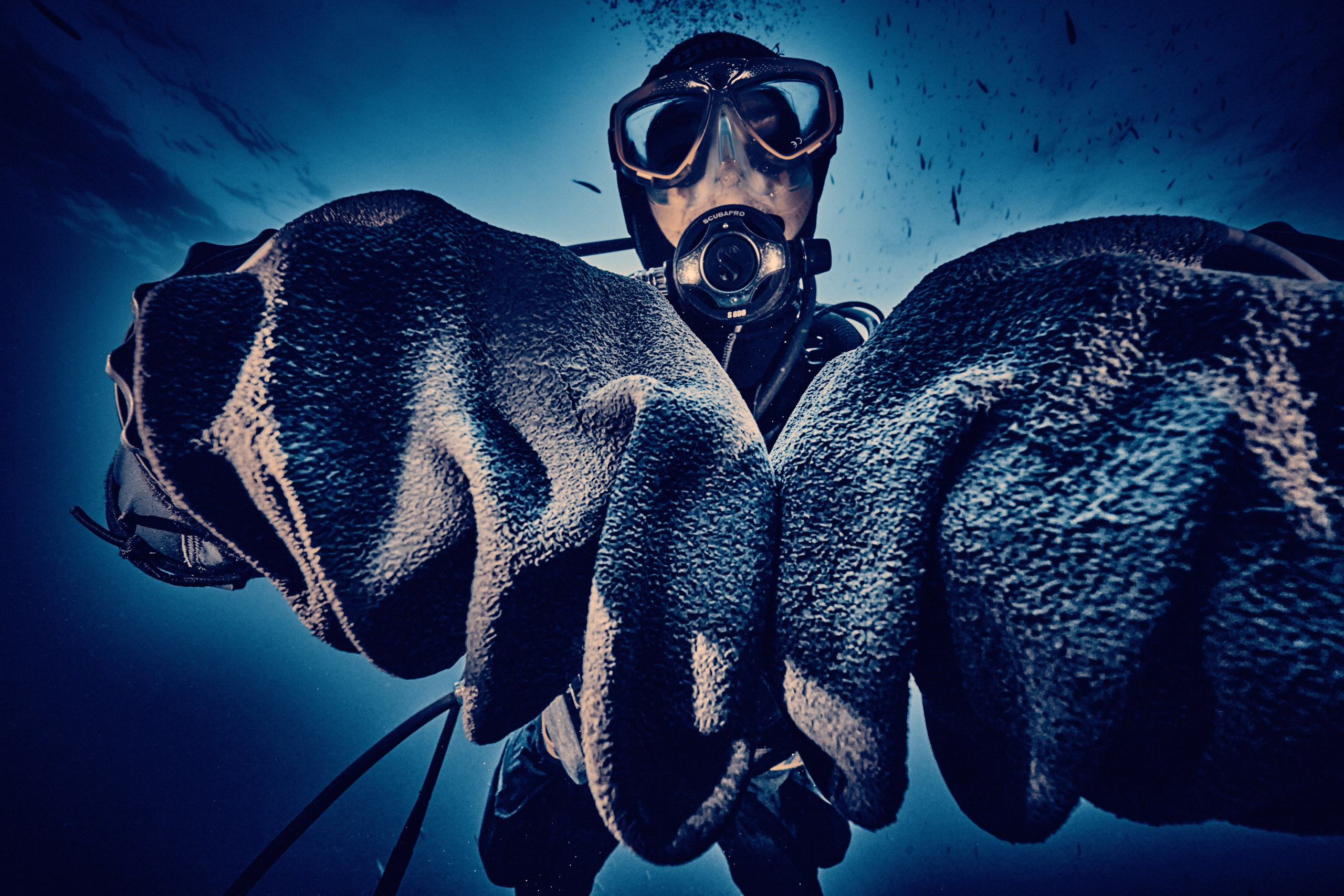 Moje TOP-36 zdjęć z roku 2025. Андрей Шипилов — Фотография & Видеография