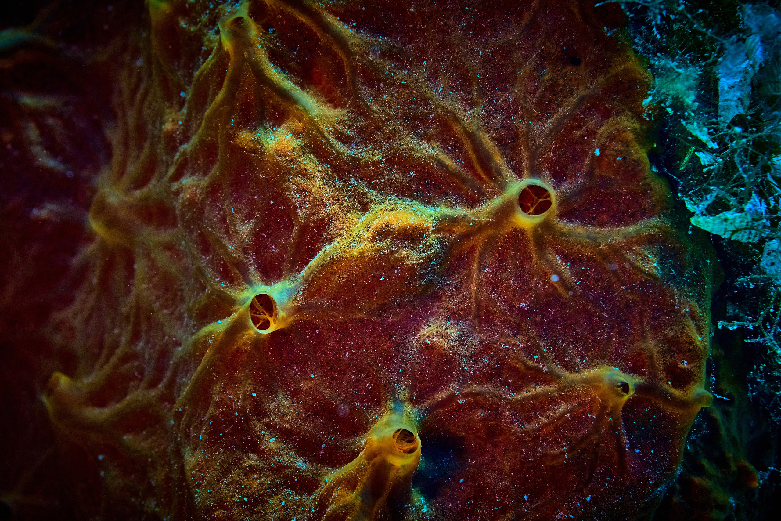 Moje TOP-36 zdjęć z roku 2025. Андрей Шипилов — Фотография & Видеография