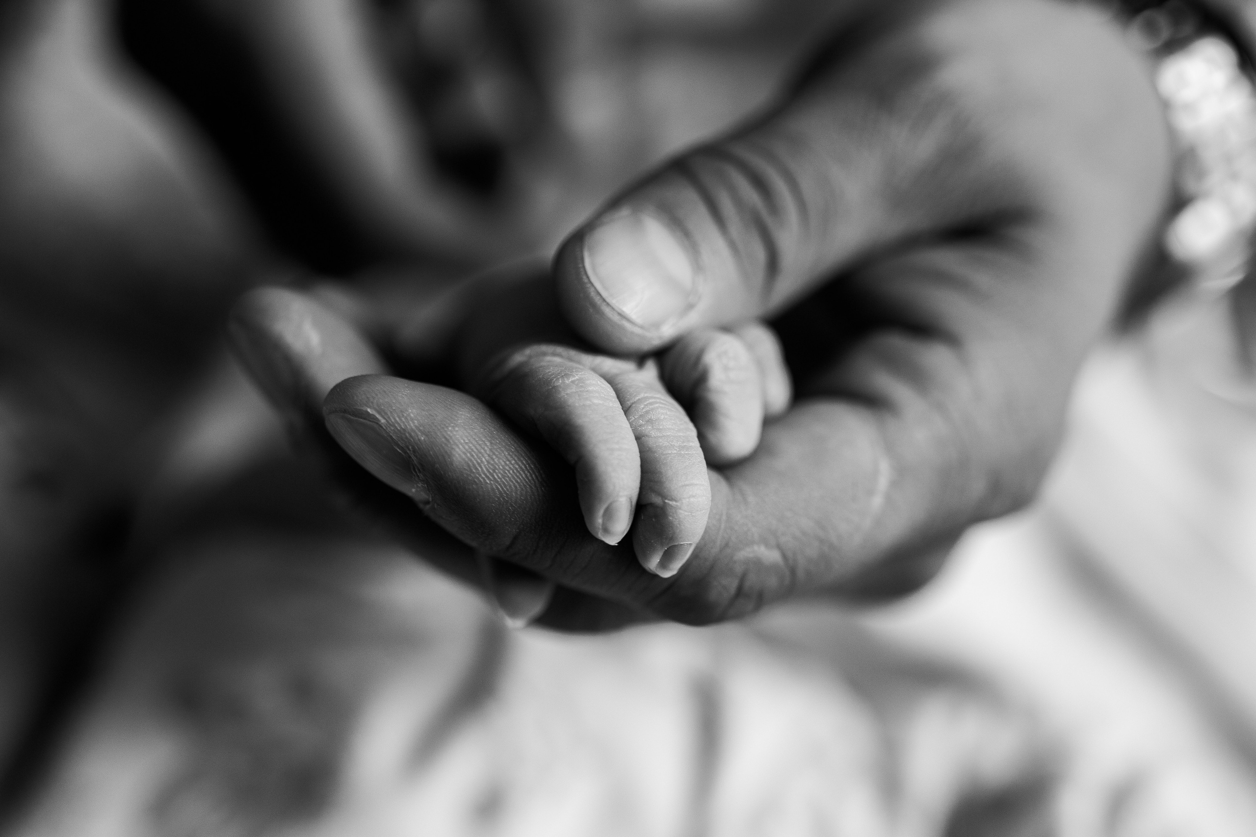 About me. Portrait and family photographer in Fort Collins Dania Gaisina