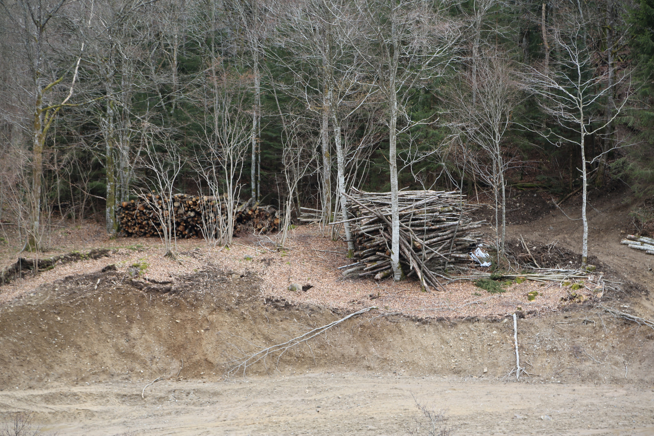 ARC EN SEINE. 7/03 - 21/03. Natalia Bogdanovska. Films et photographie corporate en France