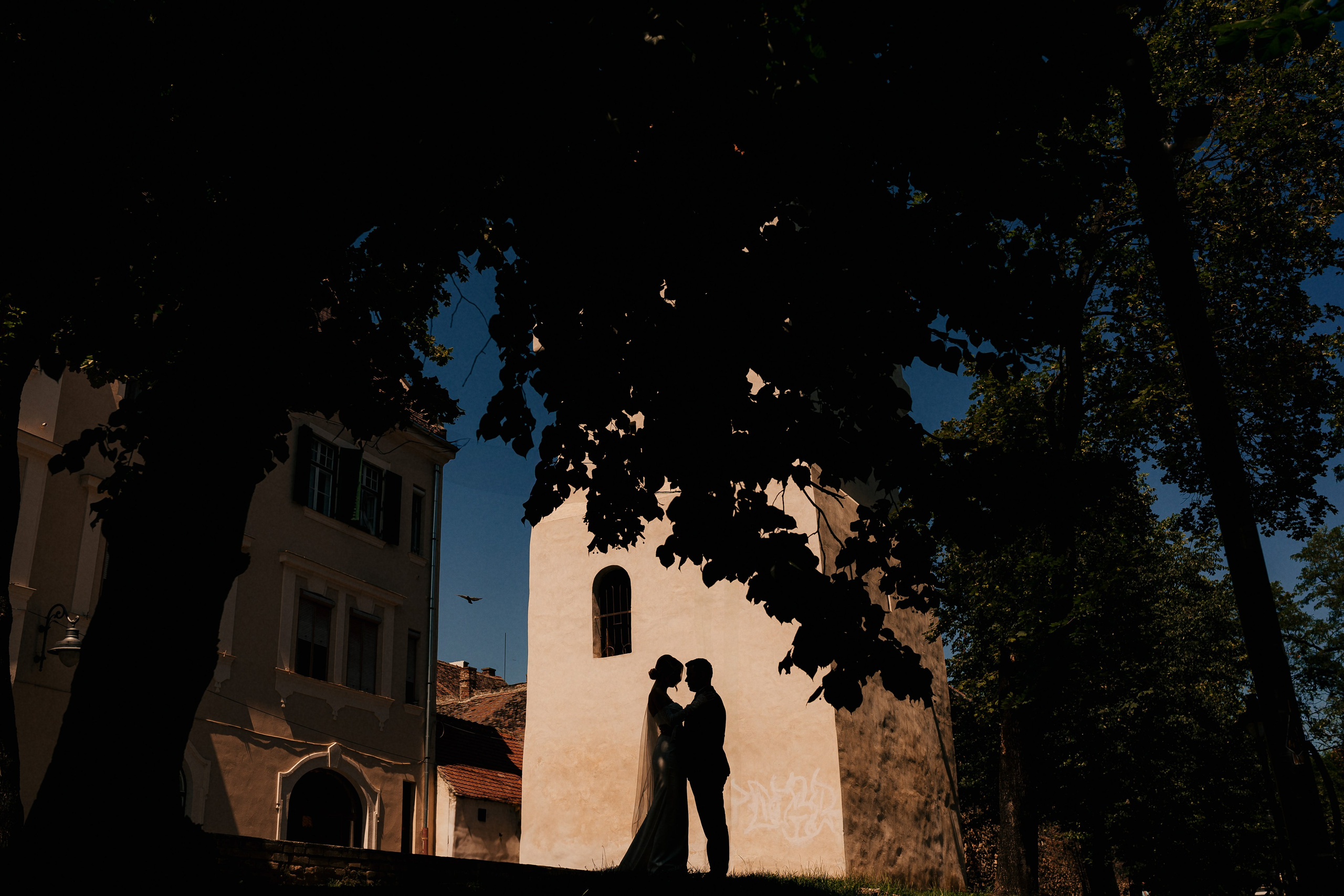 Weddings. Wedding Photography