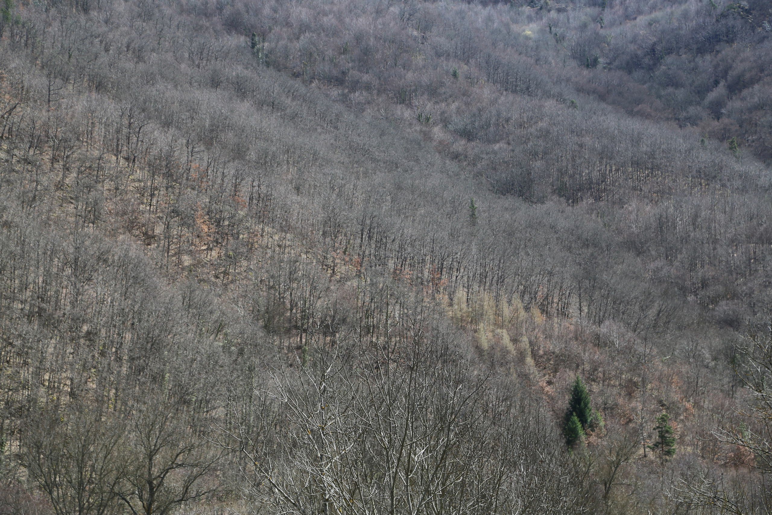 ARC EN SEINE. 7/03 - 21/03. Natalia Bogdanovska. Films et photographie corporate en France