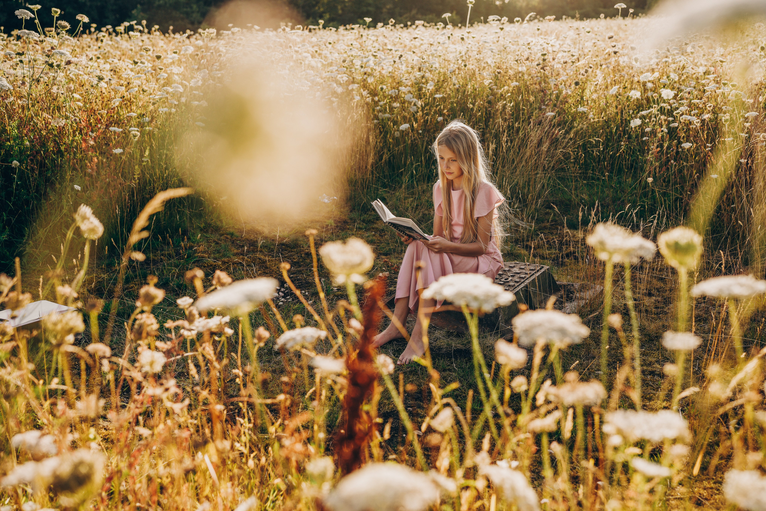 Family photoshoot at Hillfield Park in Solihull during golden hour with warm sunlight and wildflowers, natural family photography by Solihull photographer