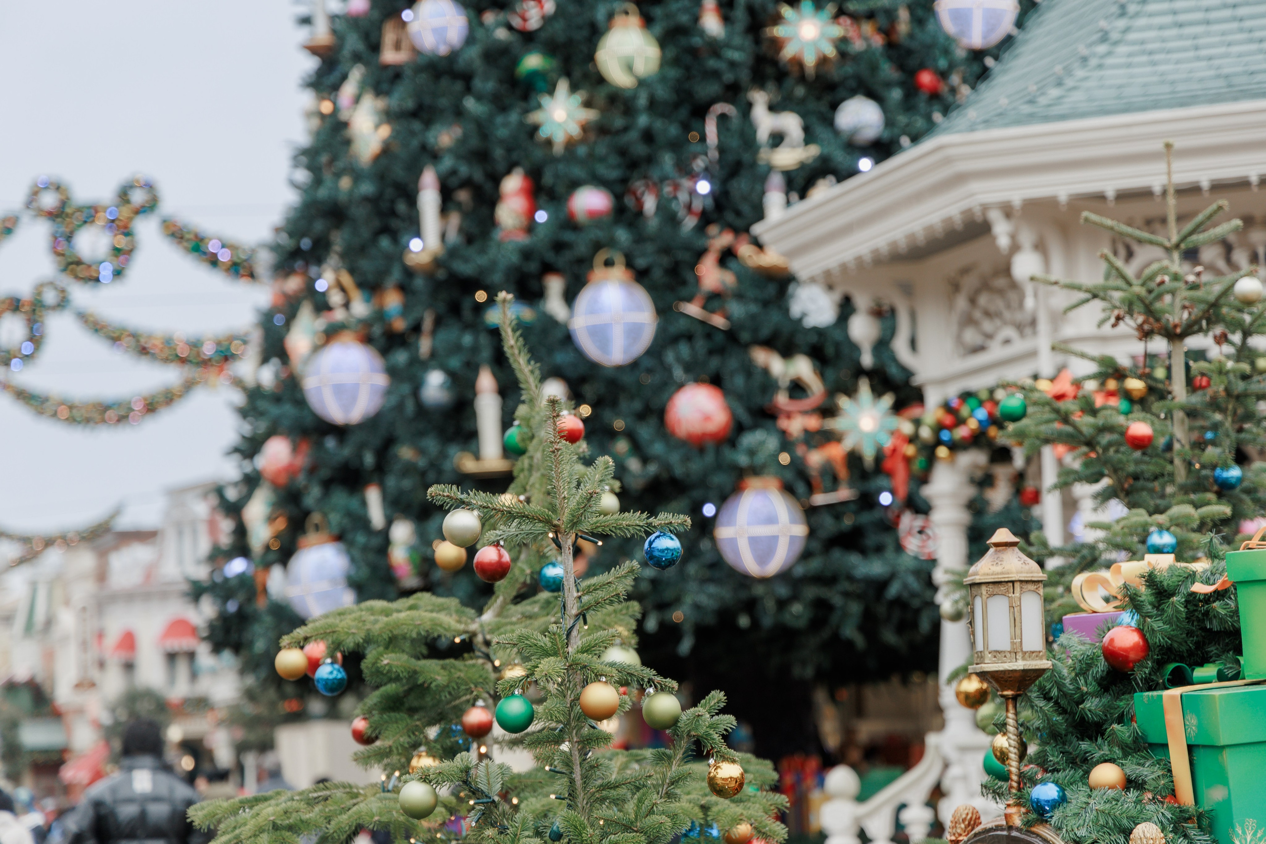 Best Photographer in Paris: Your Guide to Unforgettable Winter Photoshoots at Disneyland Paris. Photographe à Paris