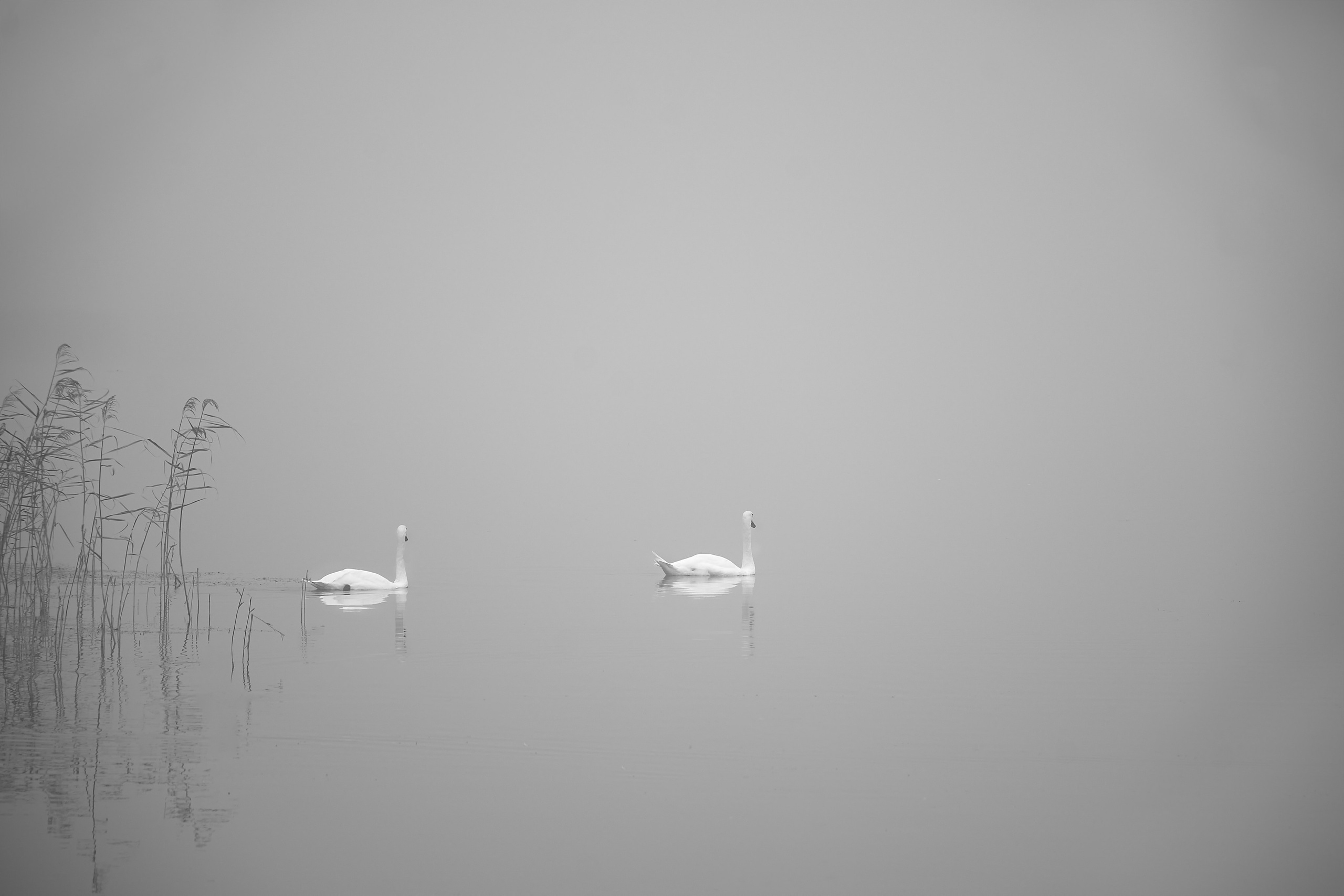 FINE ART PRINTS. Art photographer in Tallinn Aleksandr Sokolnikov