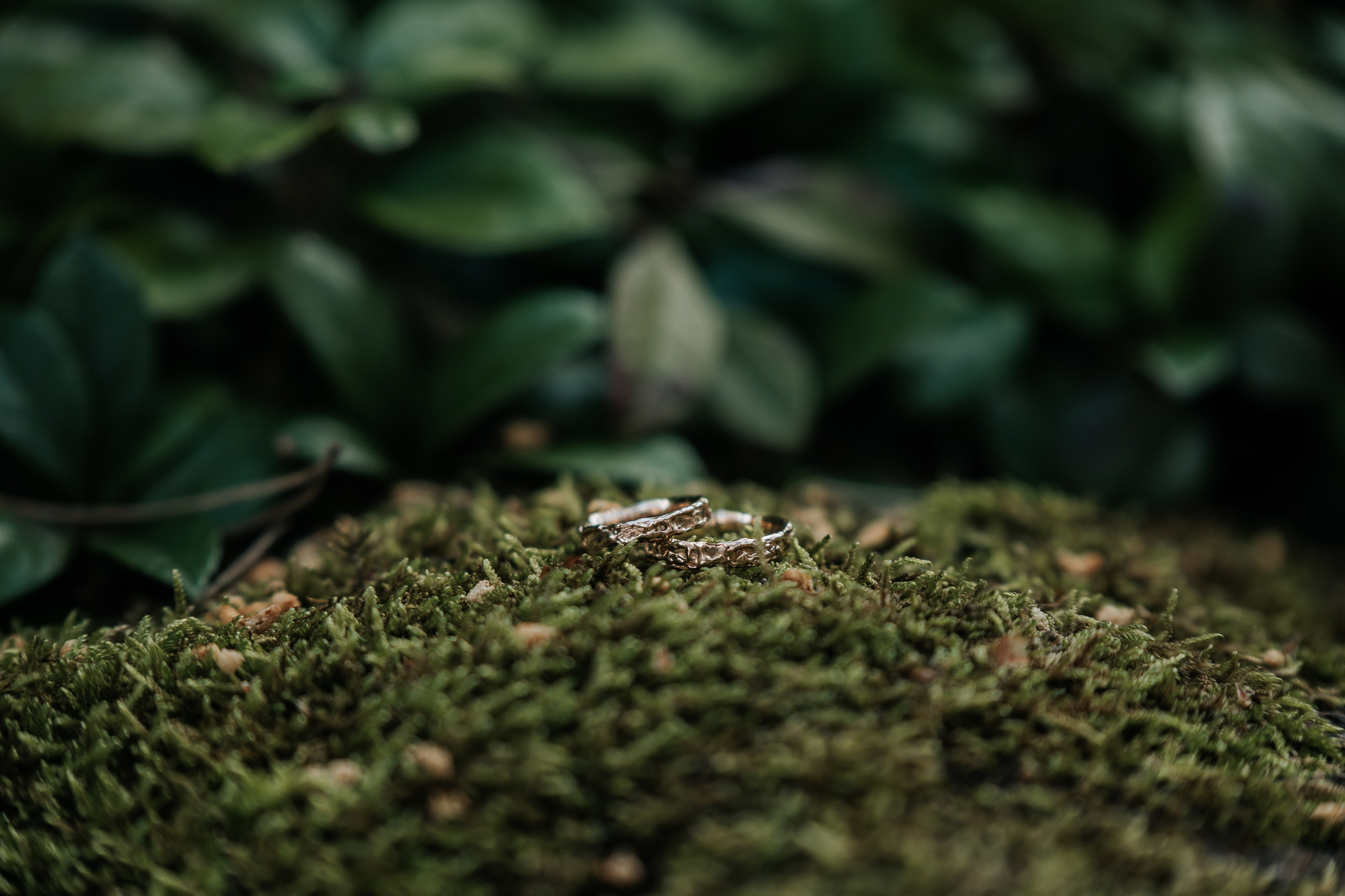 Vestuvės. Wedding, christening and family photographers in Vilnius, Lithuania