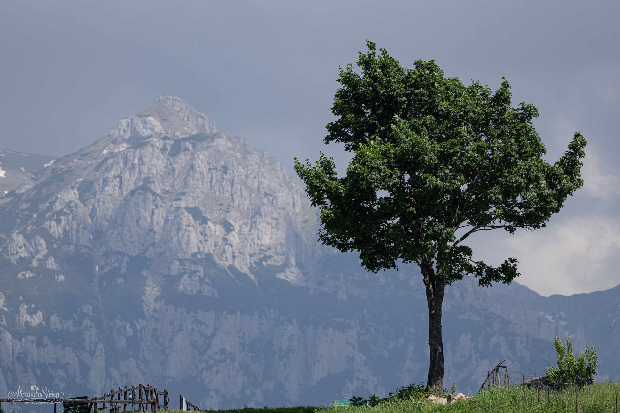 Contact. Http://www.alexphoto.ro