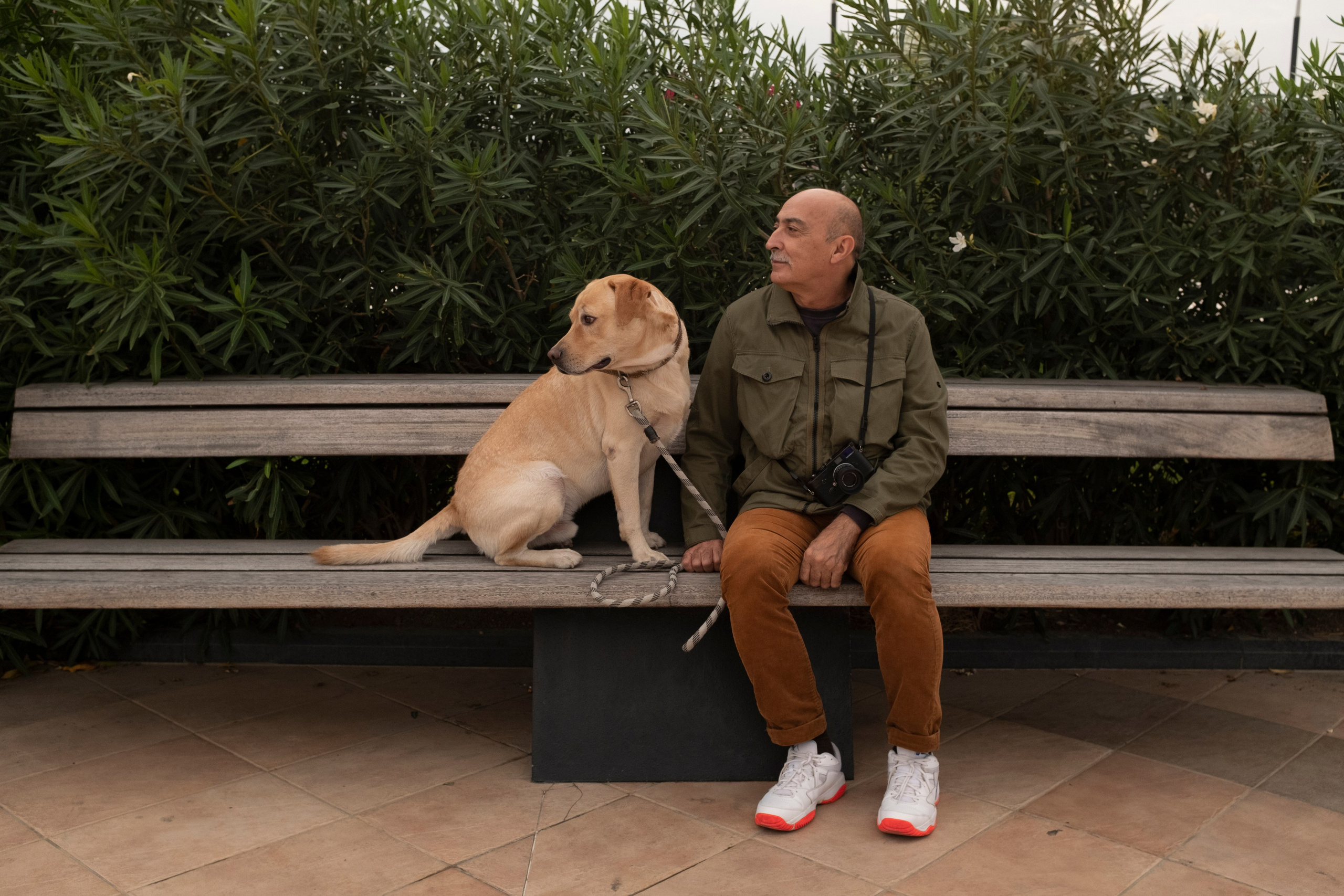 ABOUT. Www.sananaleskerov.com