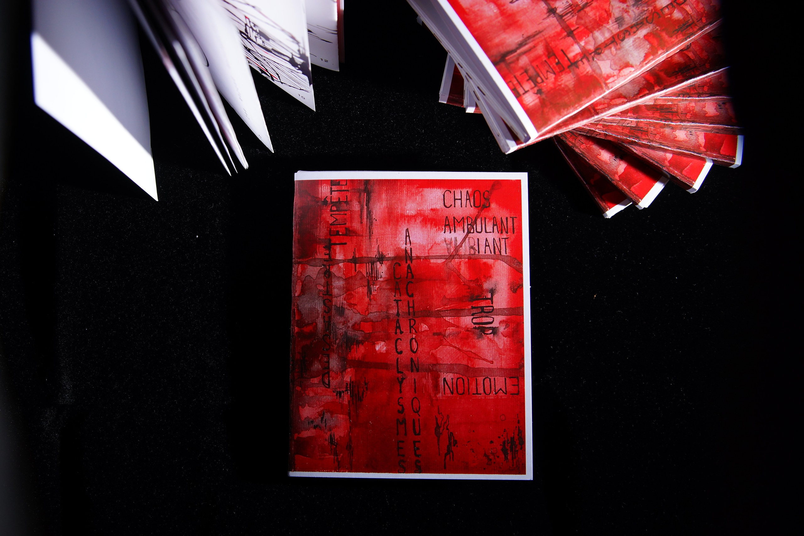 Angelina Sorokopud. Artist in Strasbourg