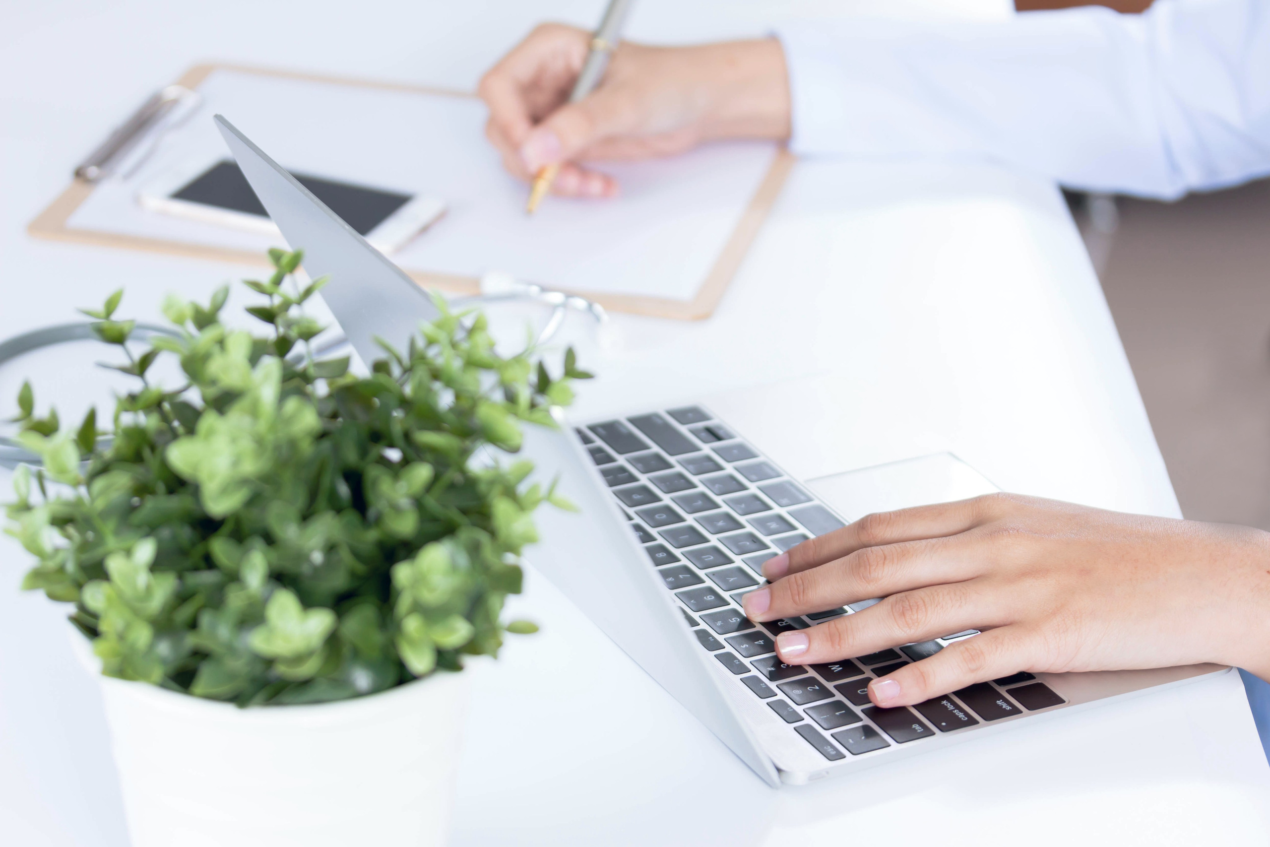 Firma blomsterabonnementer – Akropolis BlomsterGiv din virksomhed et friskt pust med et firma blomsterabonnement fra Akropolis Blomster. Vi leverer smukke blomsterarrangementer regelmæssigt, så din virksomhed altid fremstår indbydende og professionel.