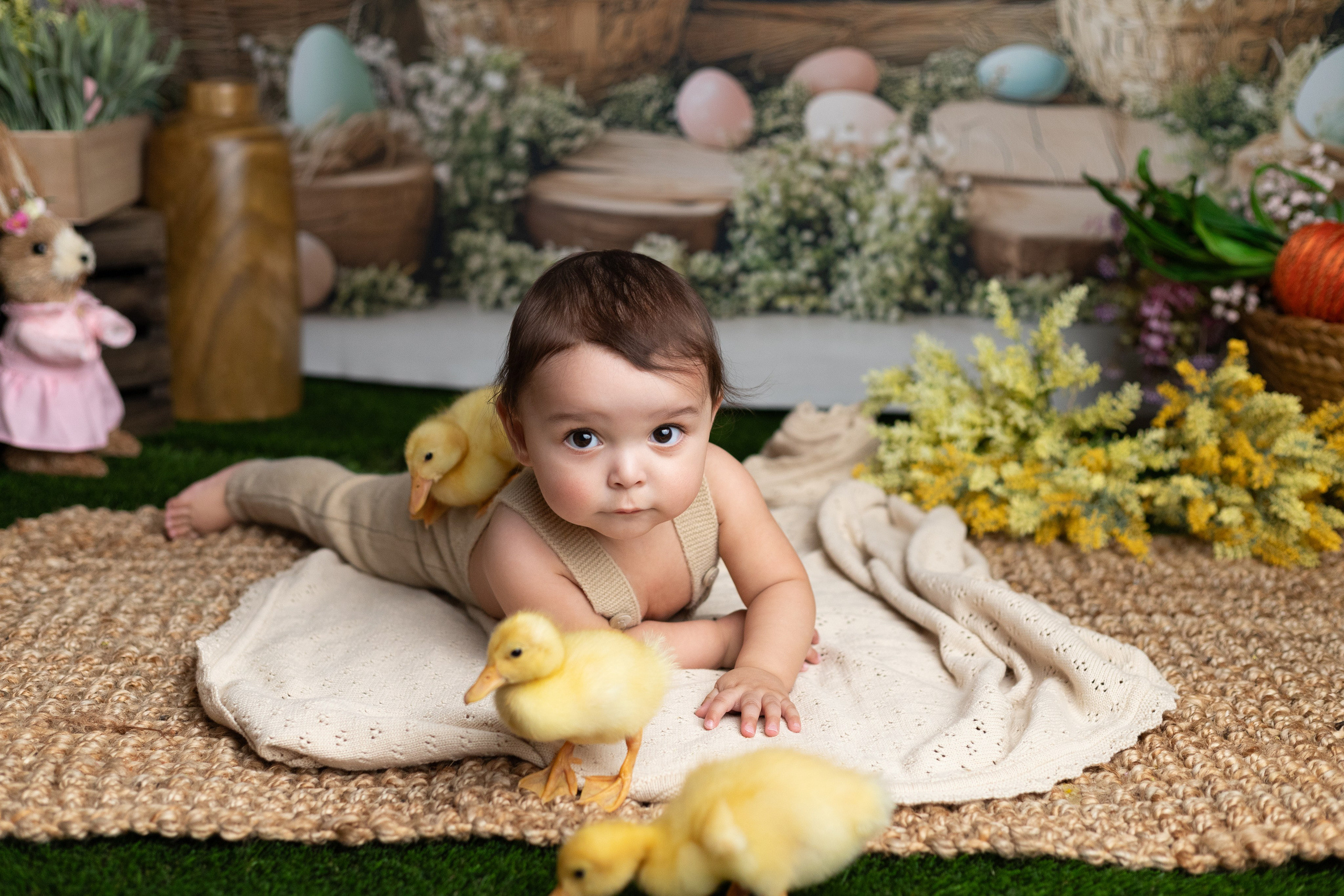 Packages. Mary Newborn Photo