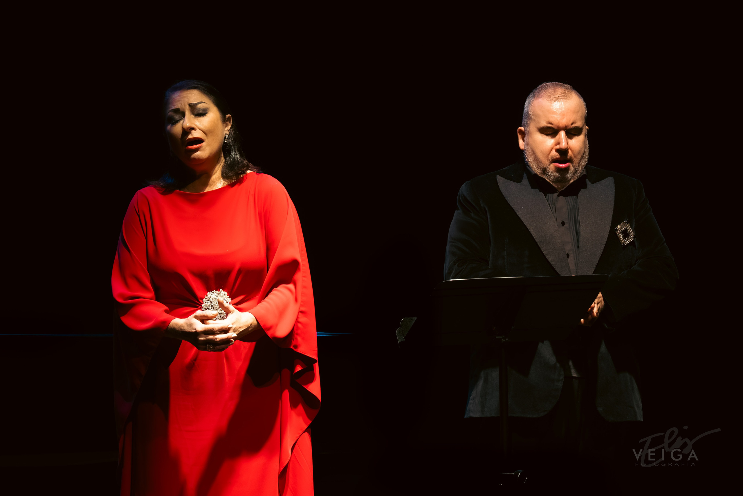 La música clásica como protagonista. Elisveiga