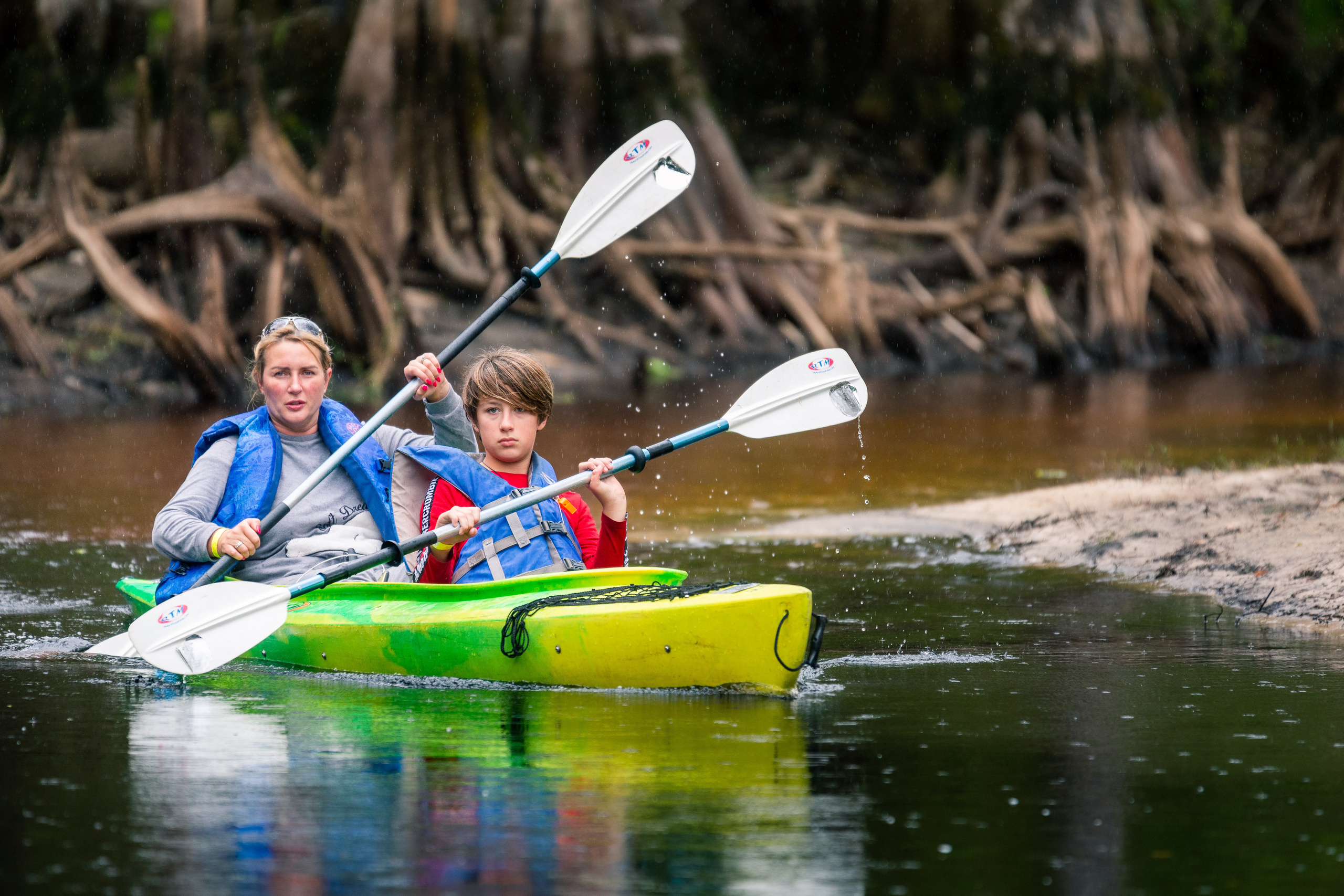1-Day Eco-Adventure Tour “Alligators, Birds and Cypress”. Alex Mironyuk Photography