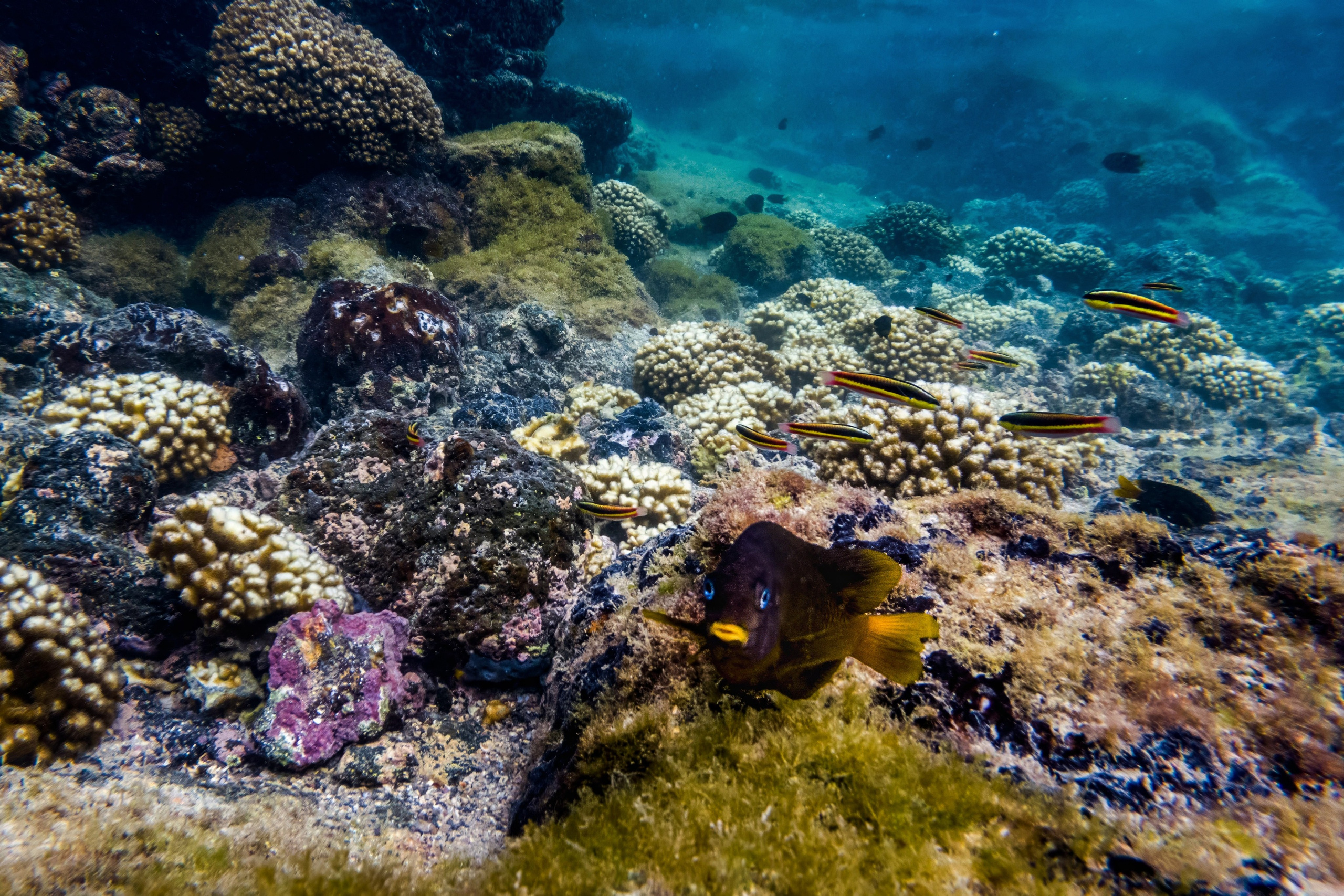 Galapagos Islands Adventure. Alex Mironyuk Photography
