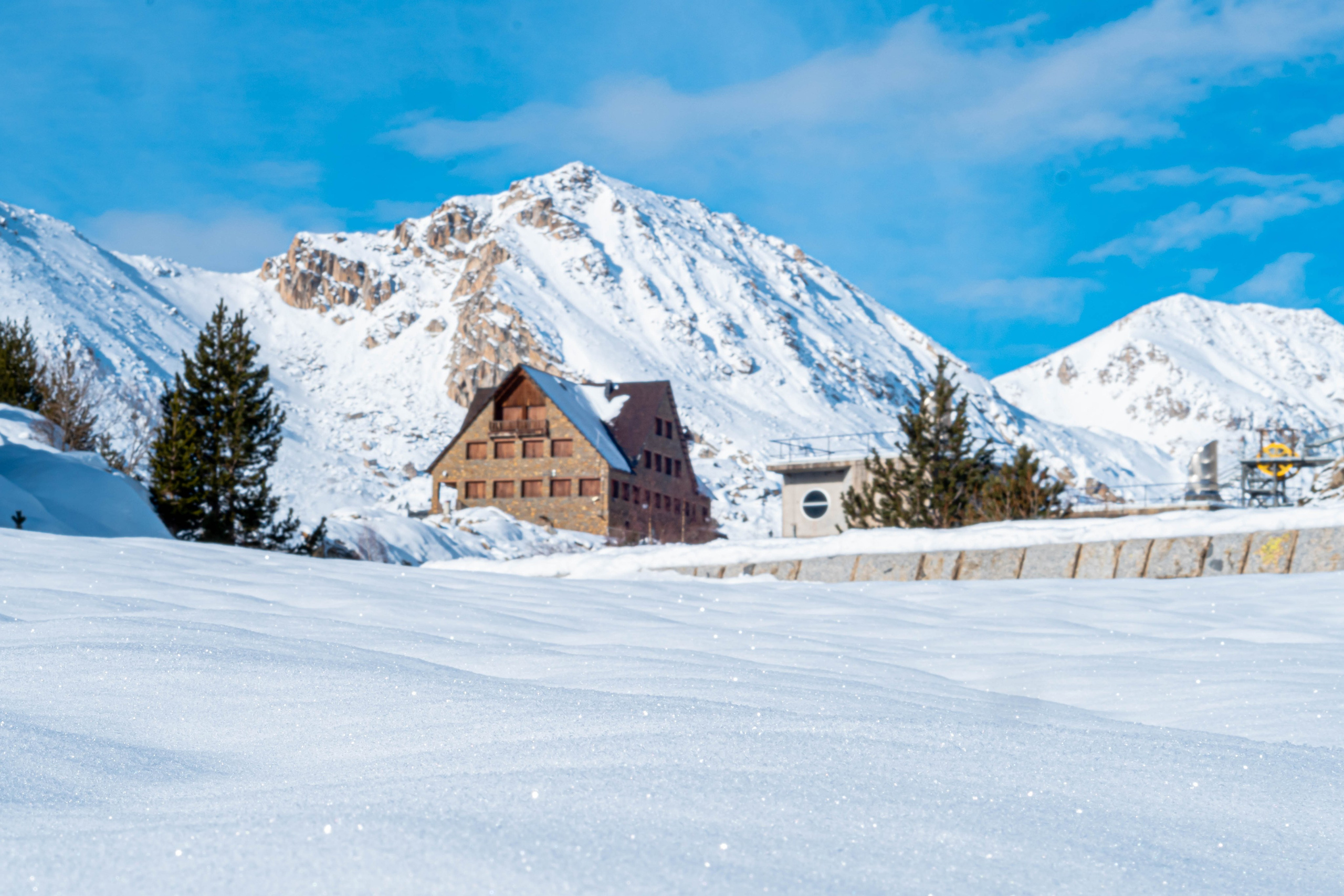 Naturaleza. Alba del Norte Studio