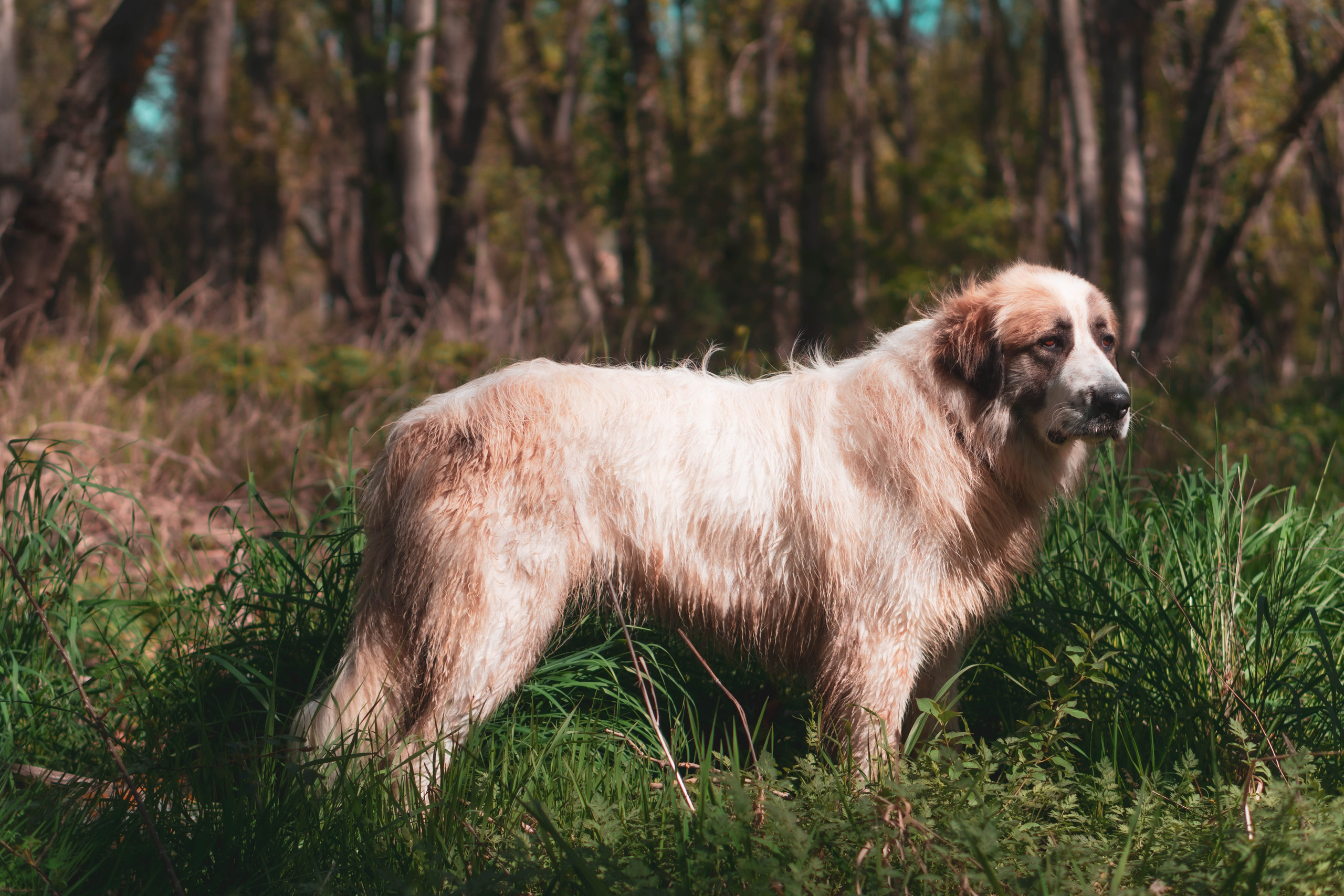 Portafolio. Alba del Norte Studio