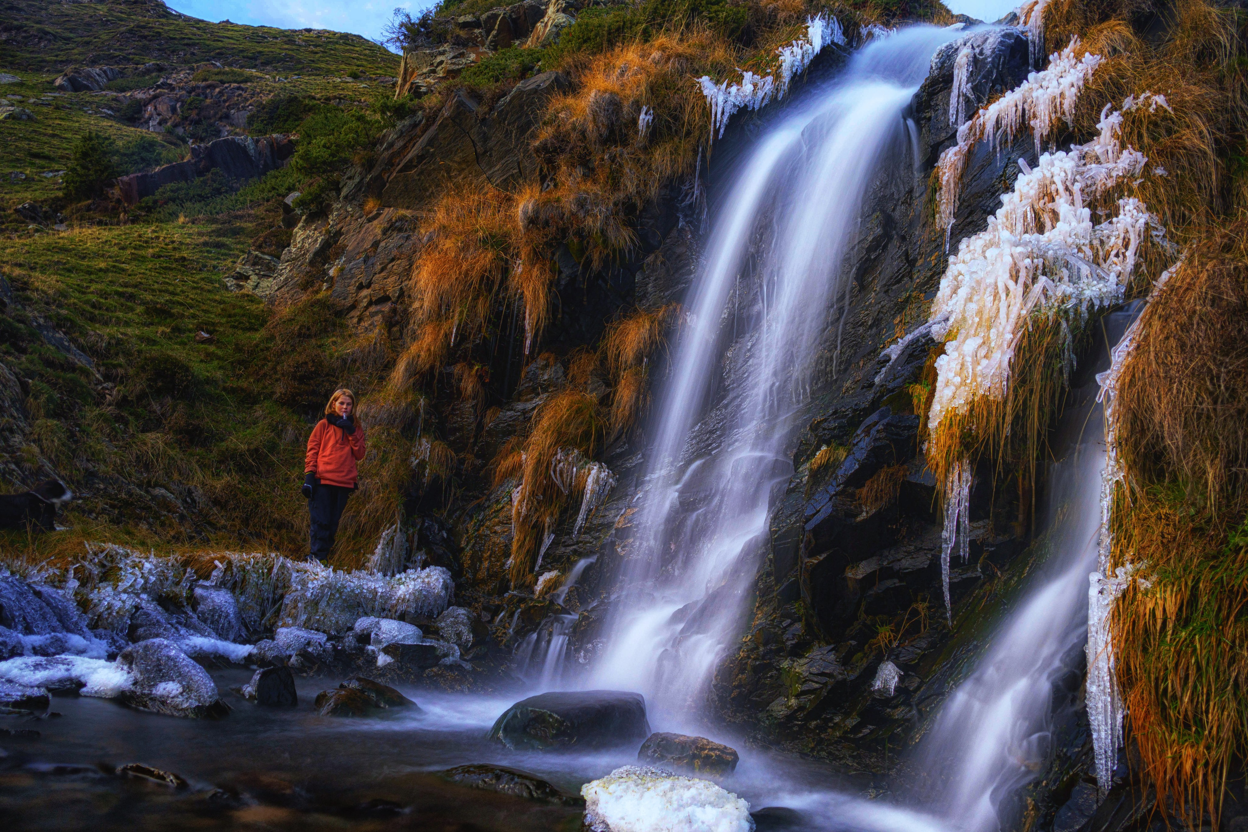 Naturaleza. Alba del Norte Studio