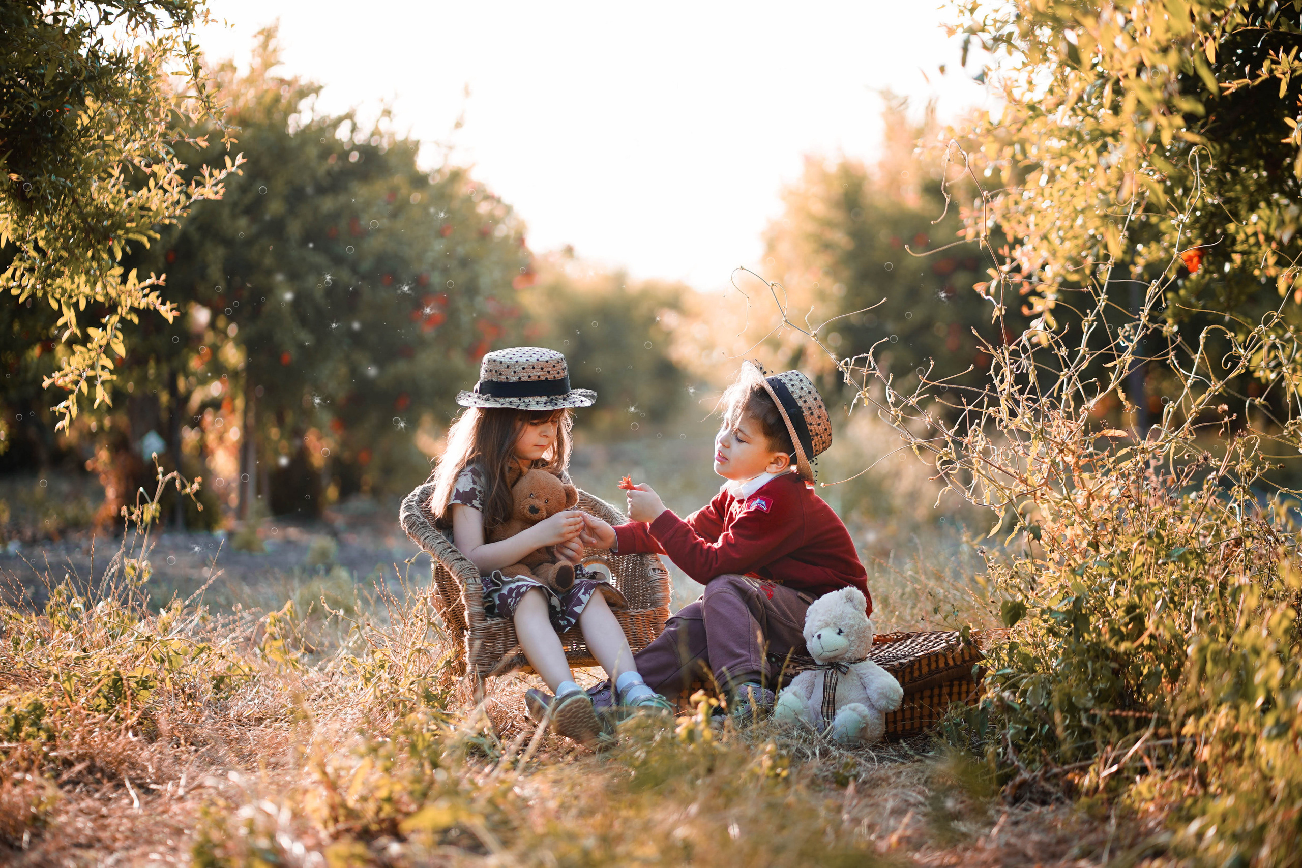 אלכסנדרה — צלמת מקצועית של משפחה, ילדים, אופנה וסרטוני תדמית