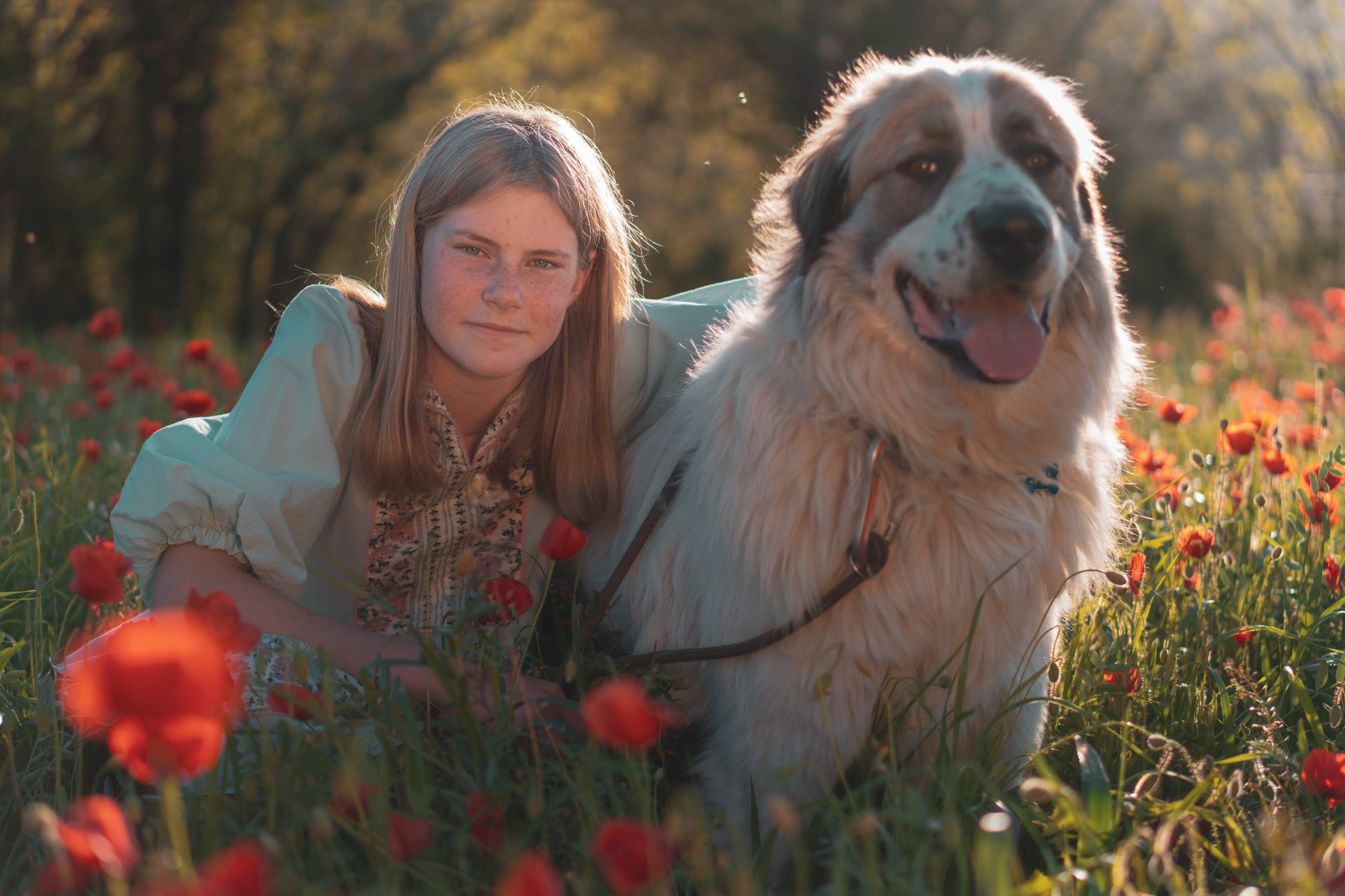 Personas. Alba del Norte Studio