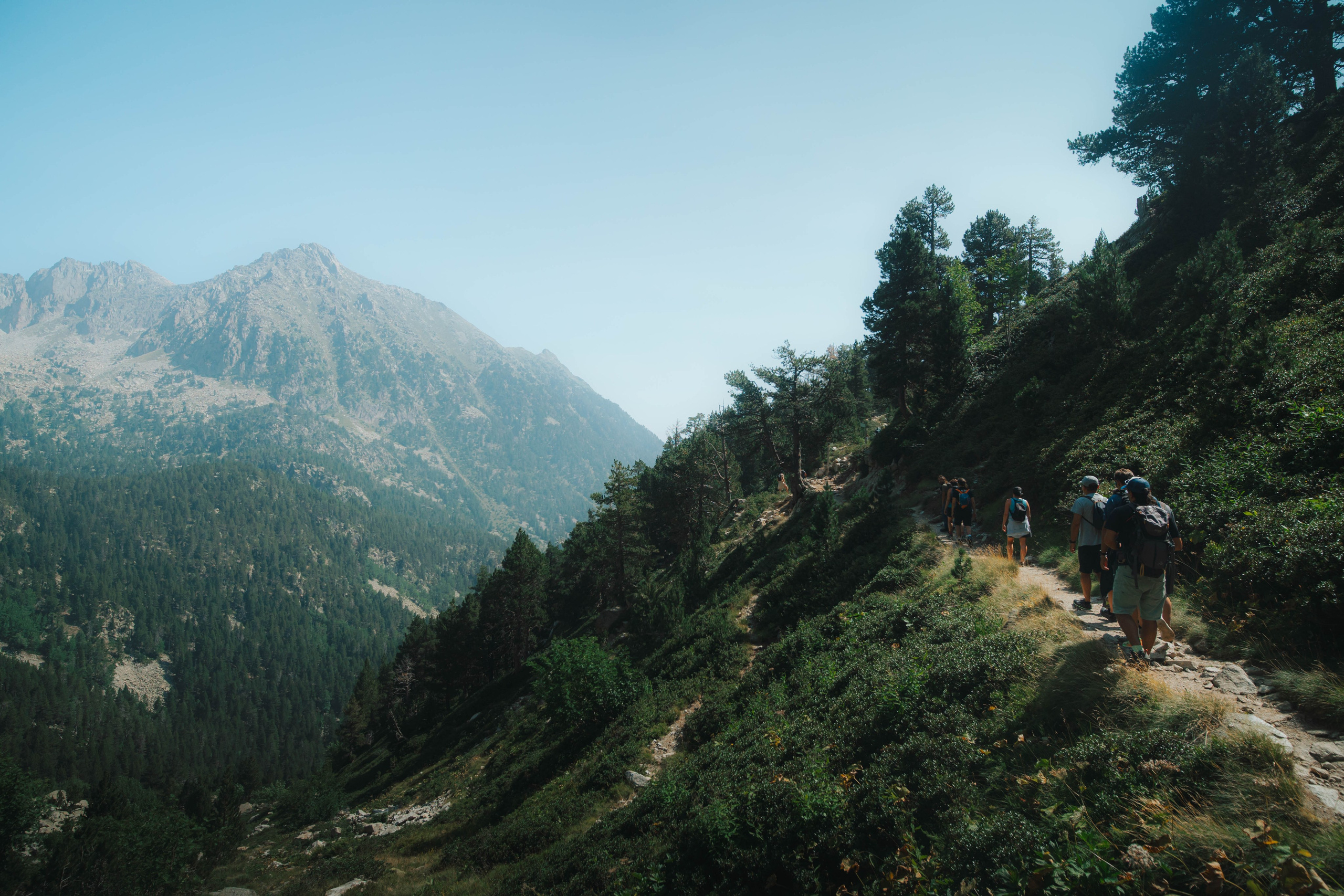 Naturaleza. Alba del Norte Studio
