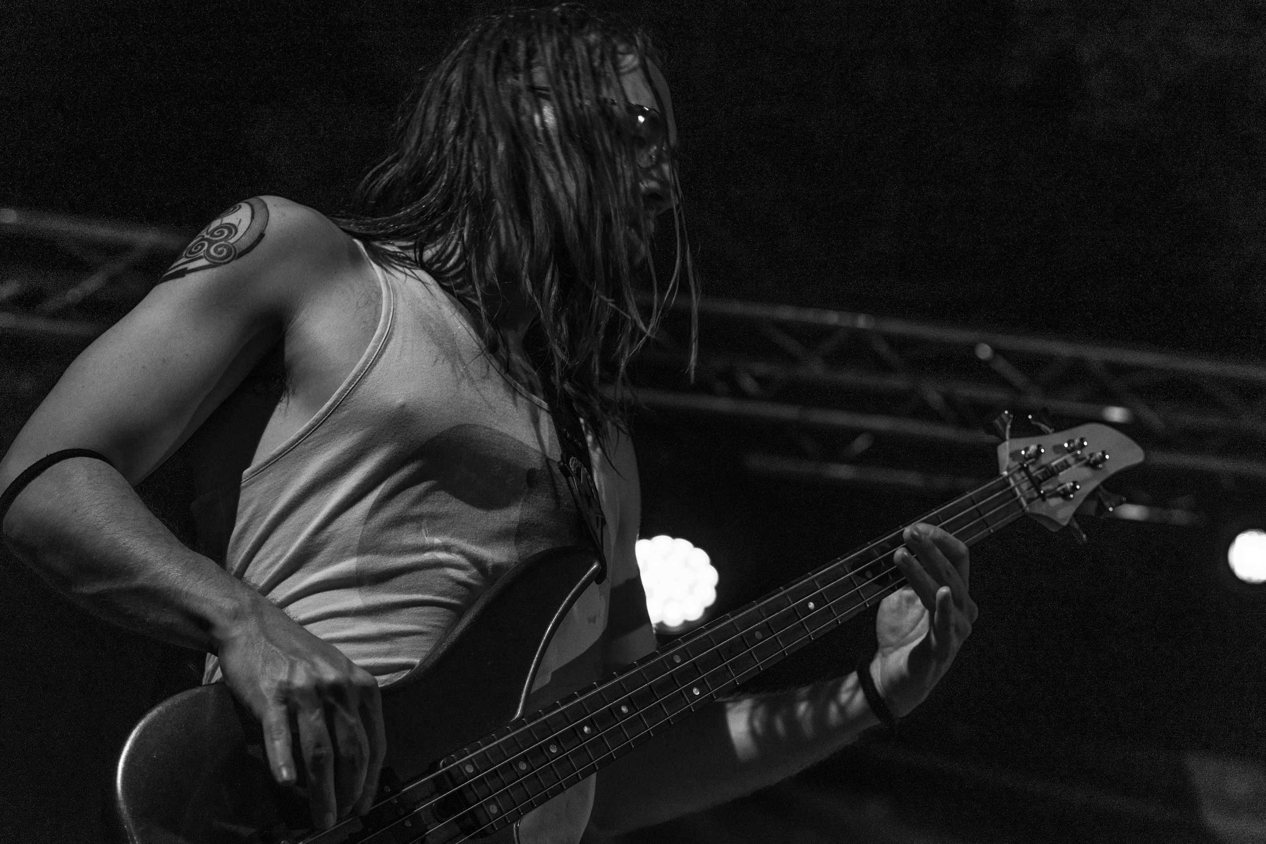 Portafolio. Alba del Norte Studio