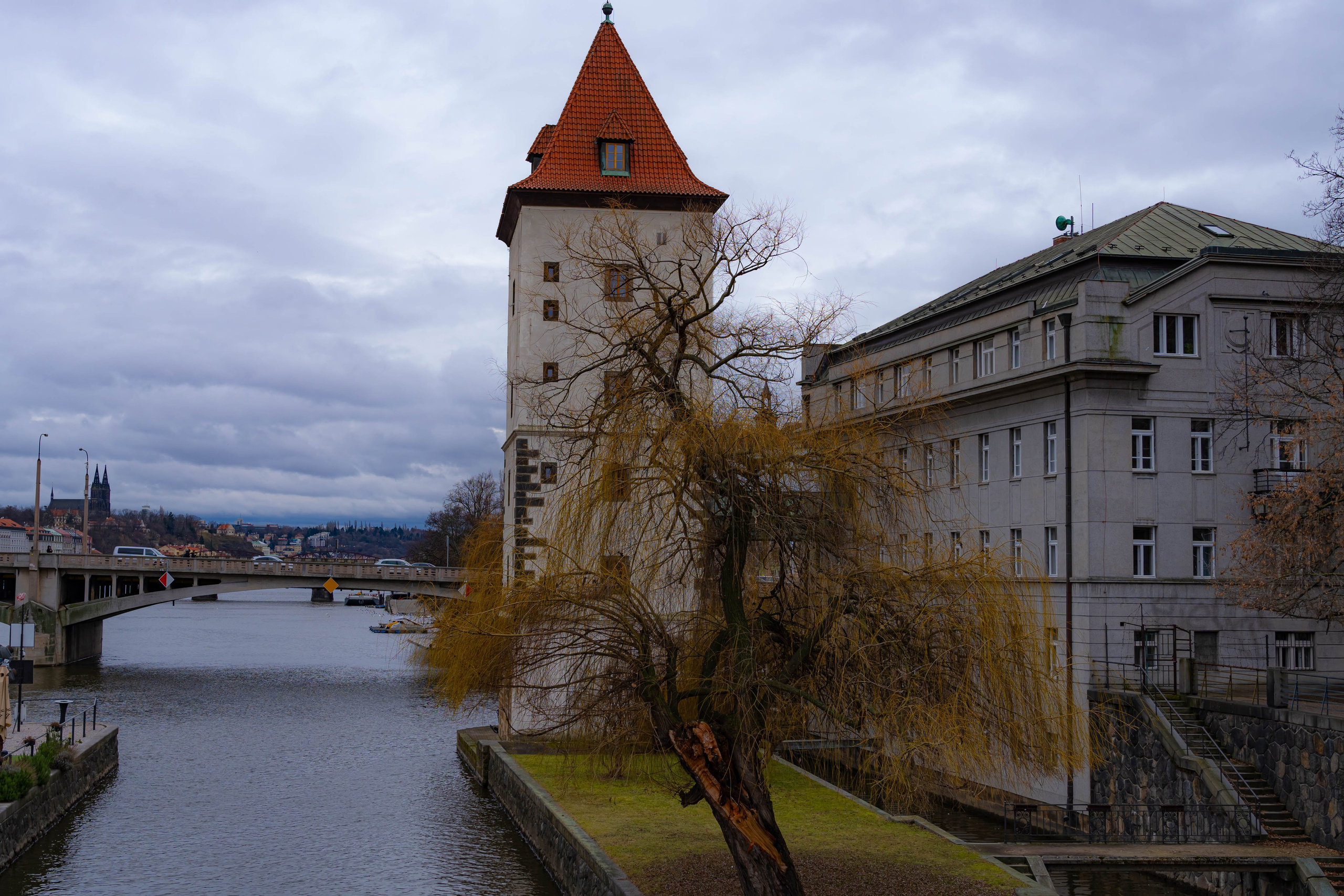 Portafolio. Alba del Norte Studio