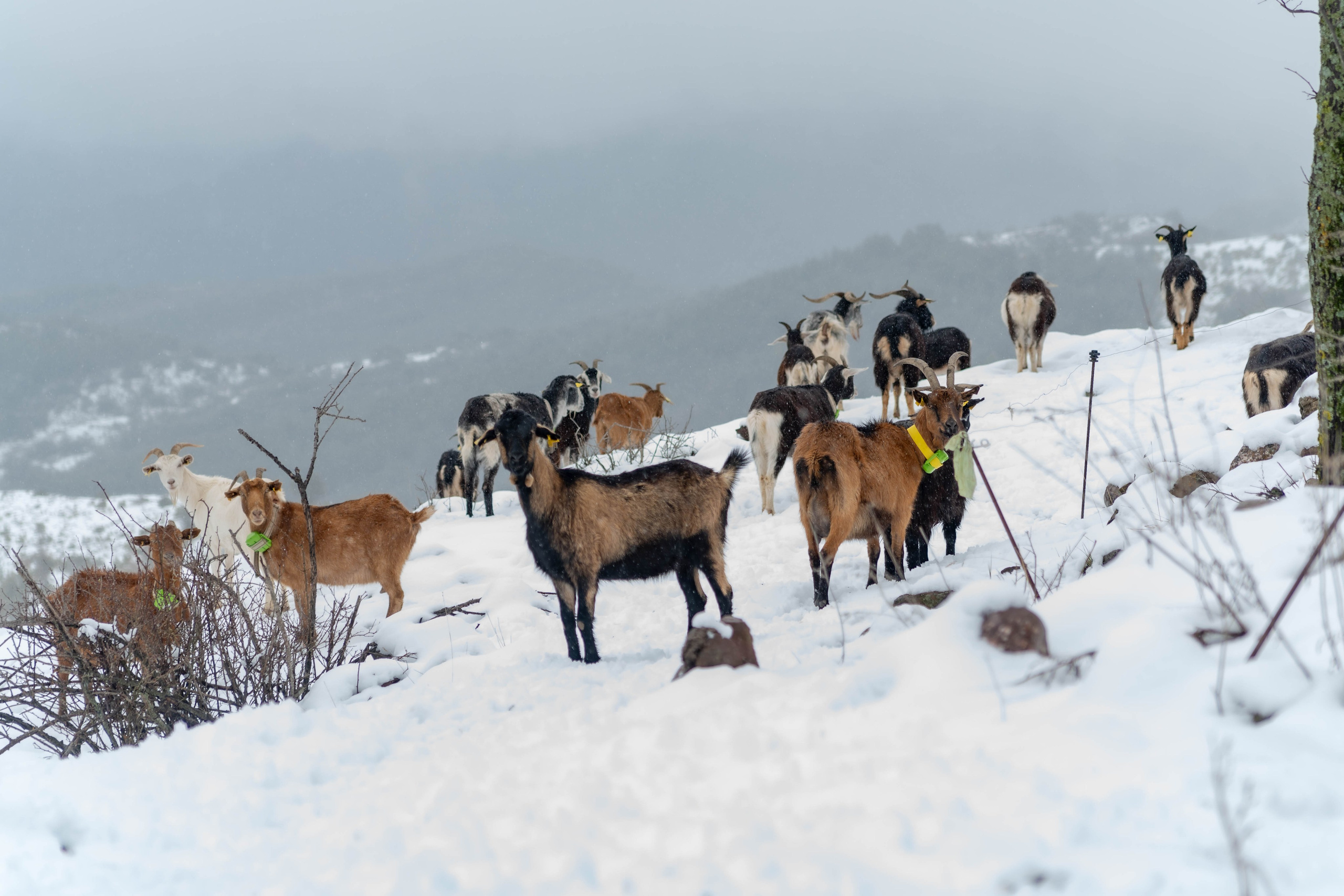 Actividades. Alba del Norte Studio