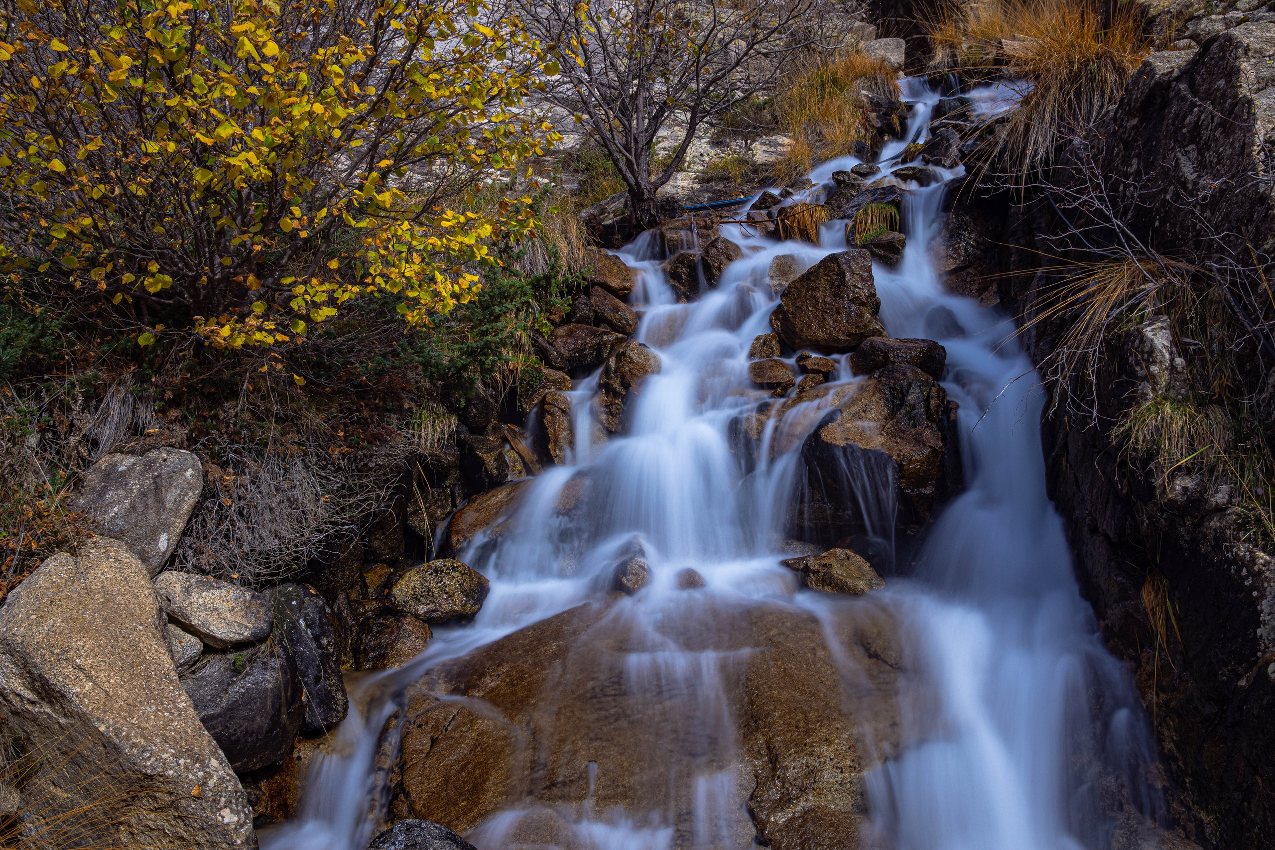 Naturaleza. Alba del Norte Studio