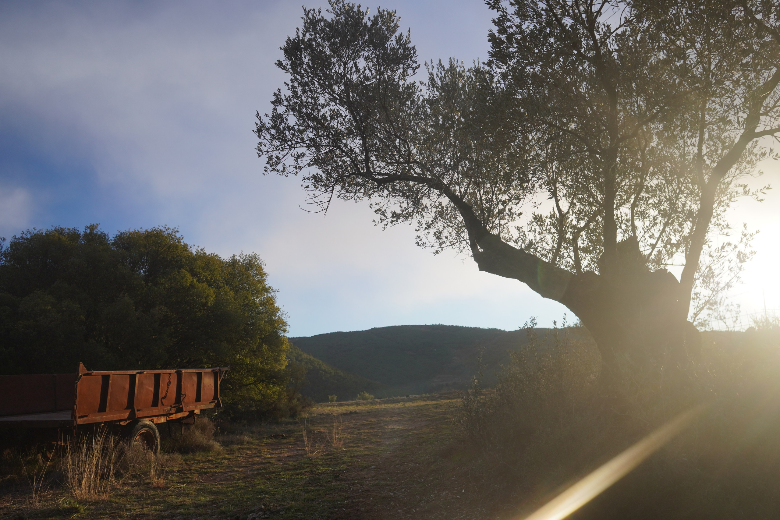 Portafolio. Alba del Norte Studio