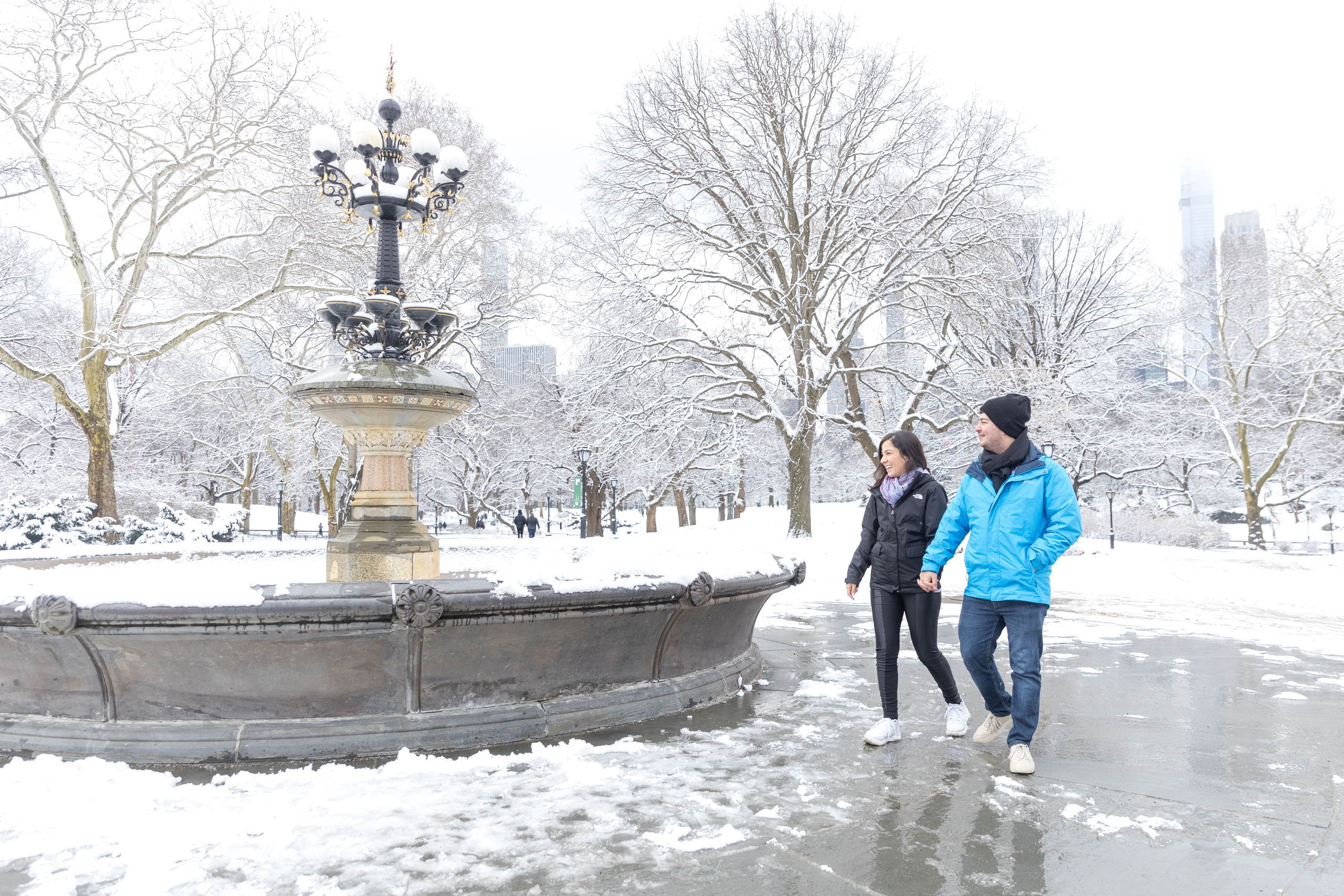 Melhores cenários do Central Park para Pedidos de Casamento