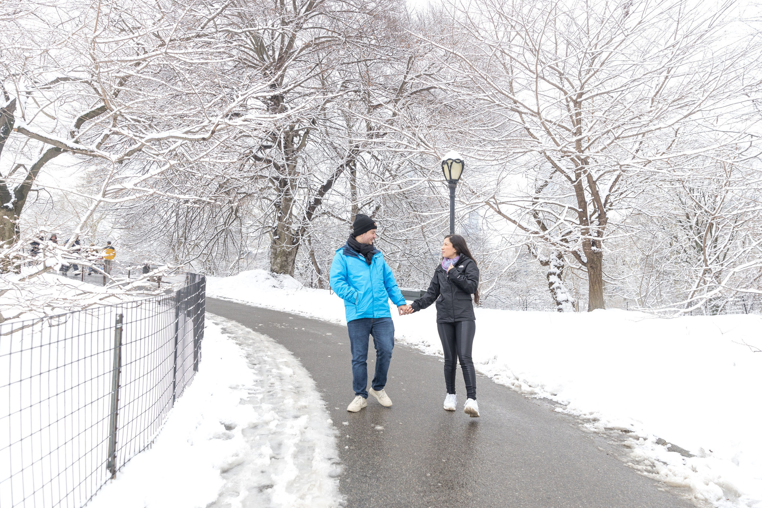 Melhores cenários do Central Park para Pedidos de Casamento