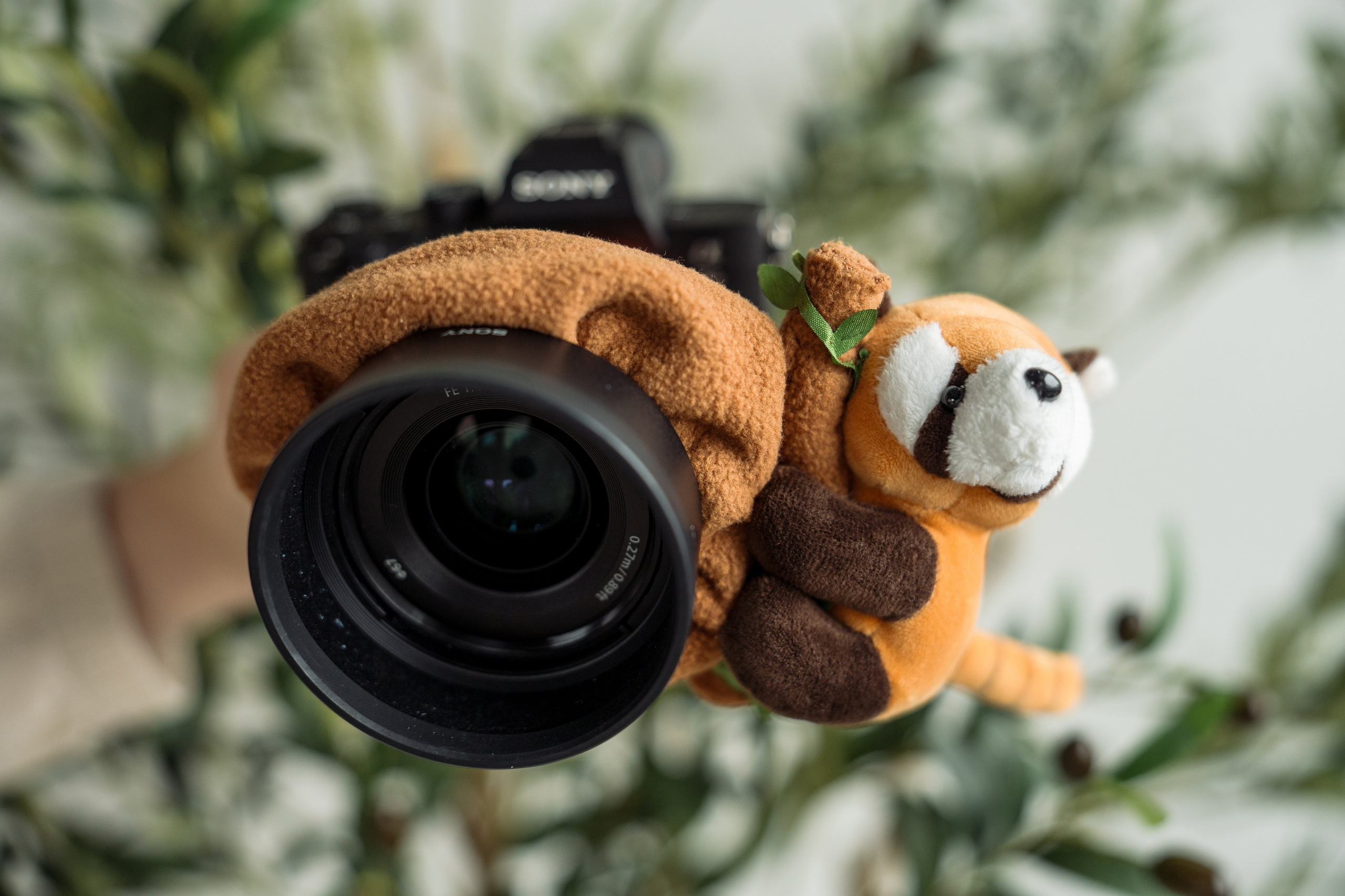 About Me. Alisa Tant — Family and newborn photographer Bucks County, Montgomery county, Philadelphia, NJ