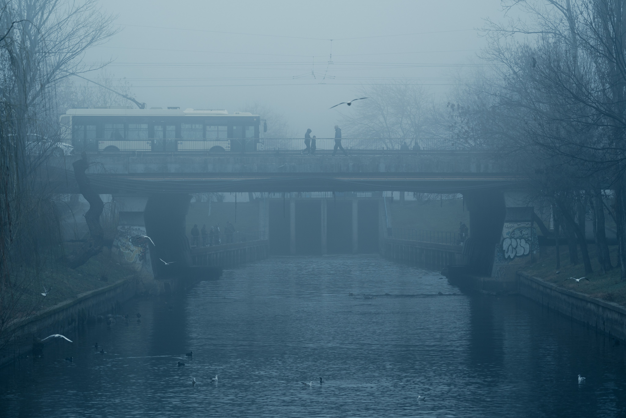 Blog despre fotografie - O dimineata cetoasa