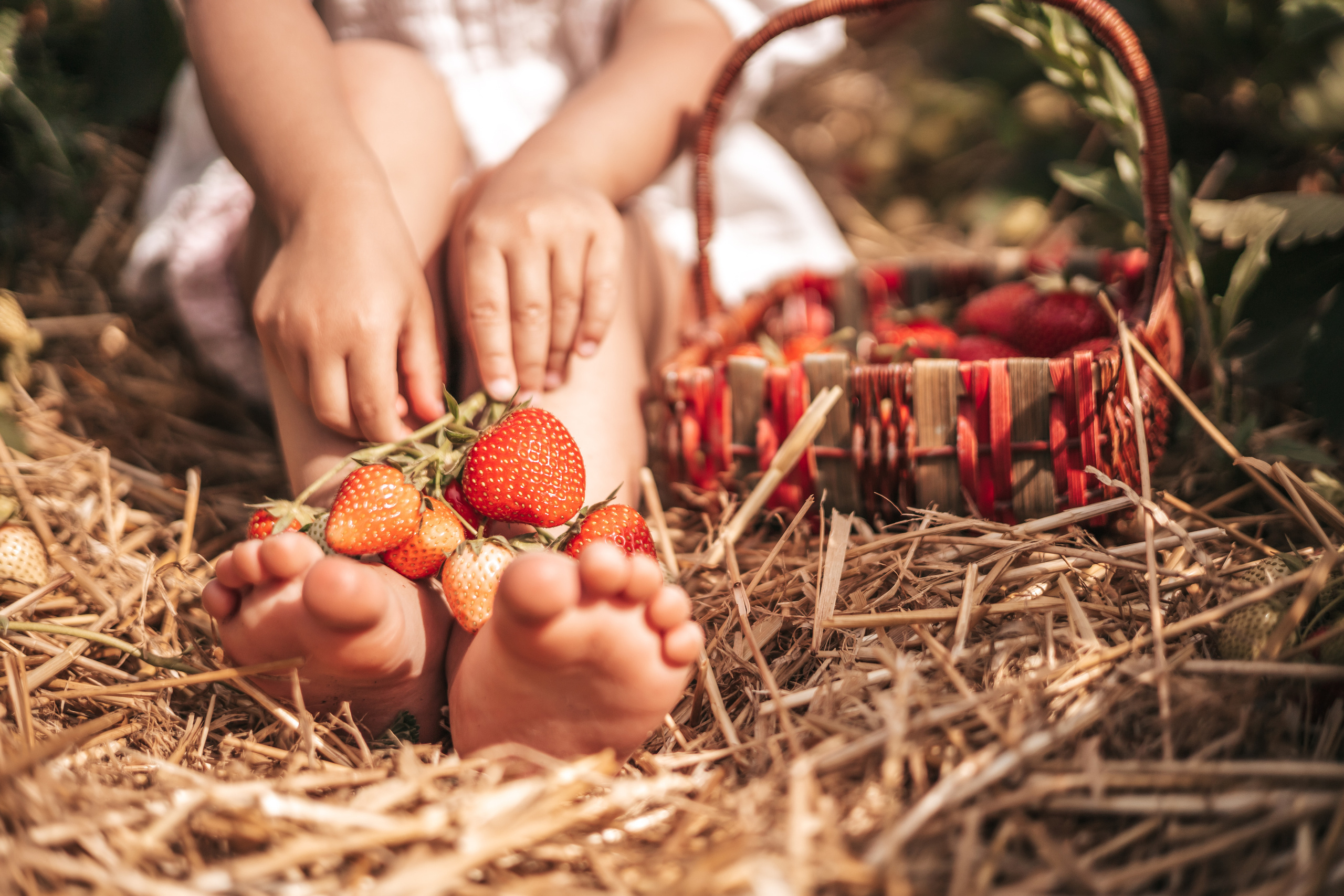 kinder familien fotografin mainz wiesbaden