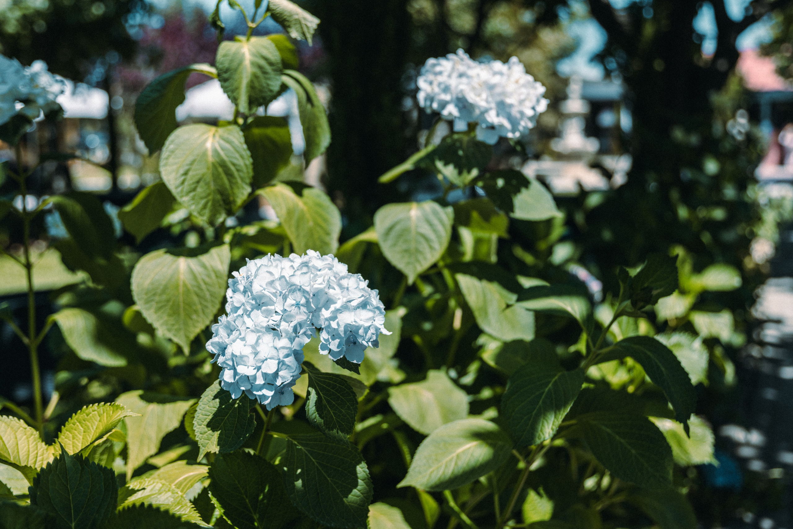 Batismo do Afonso — Viseu. Luxury Wedding Photography & Cinematic Films | Portugal & Destination Weddings | Ricardo & Mary Pictures