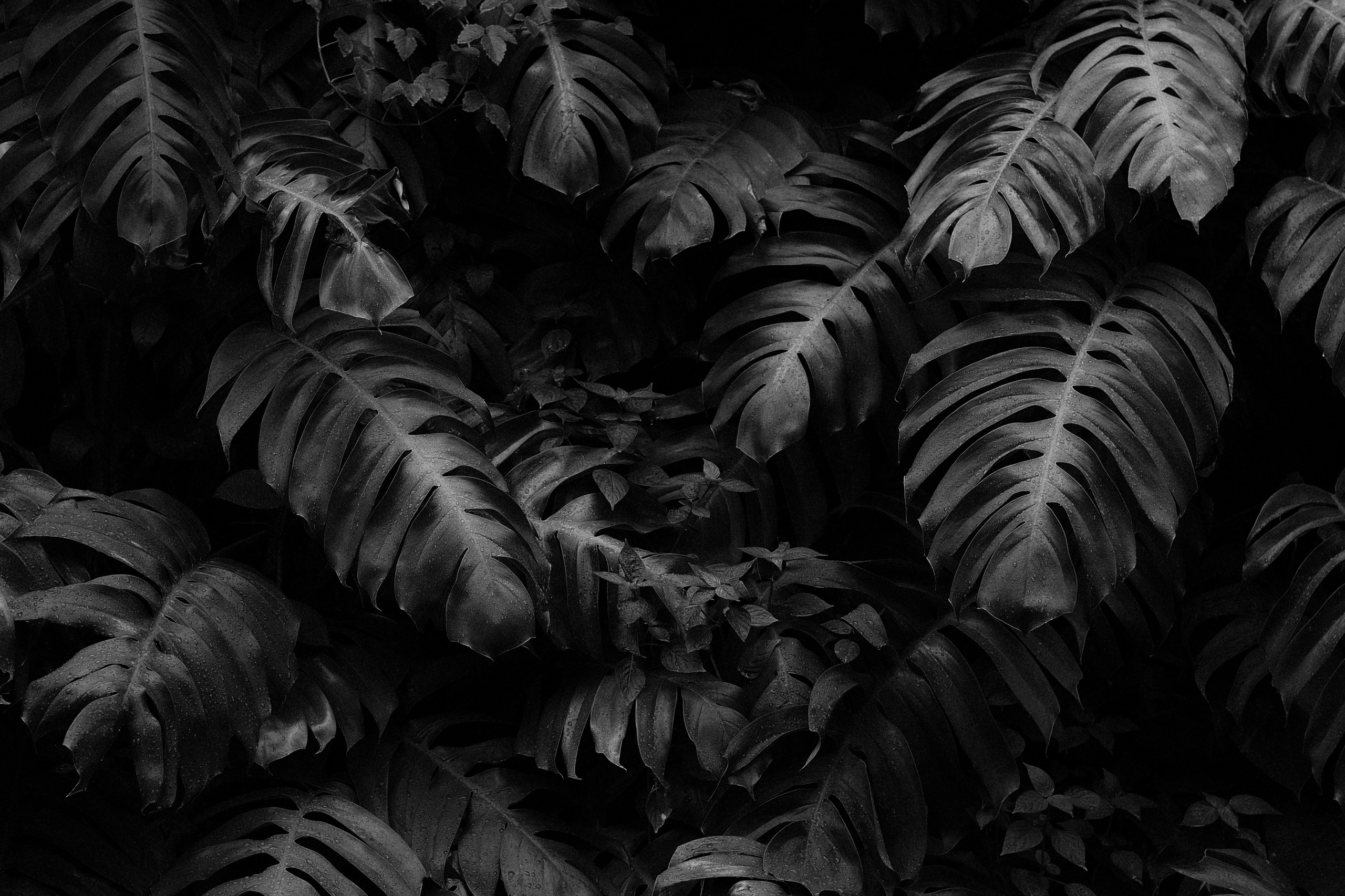 Echolith. Nature art photography by Petr Nabutov