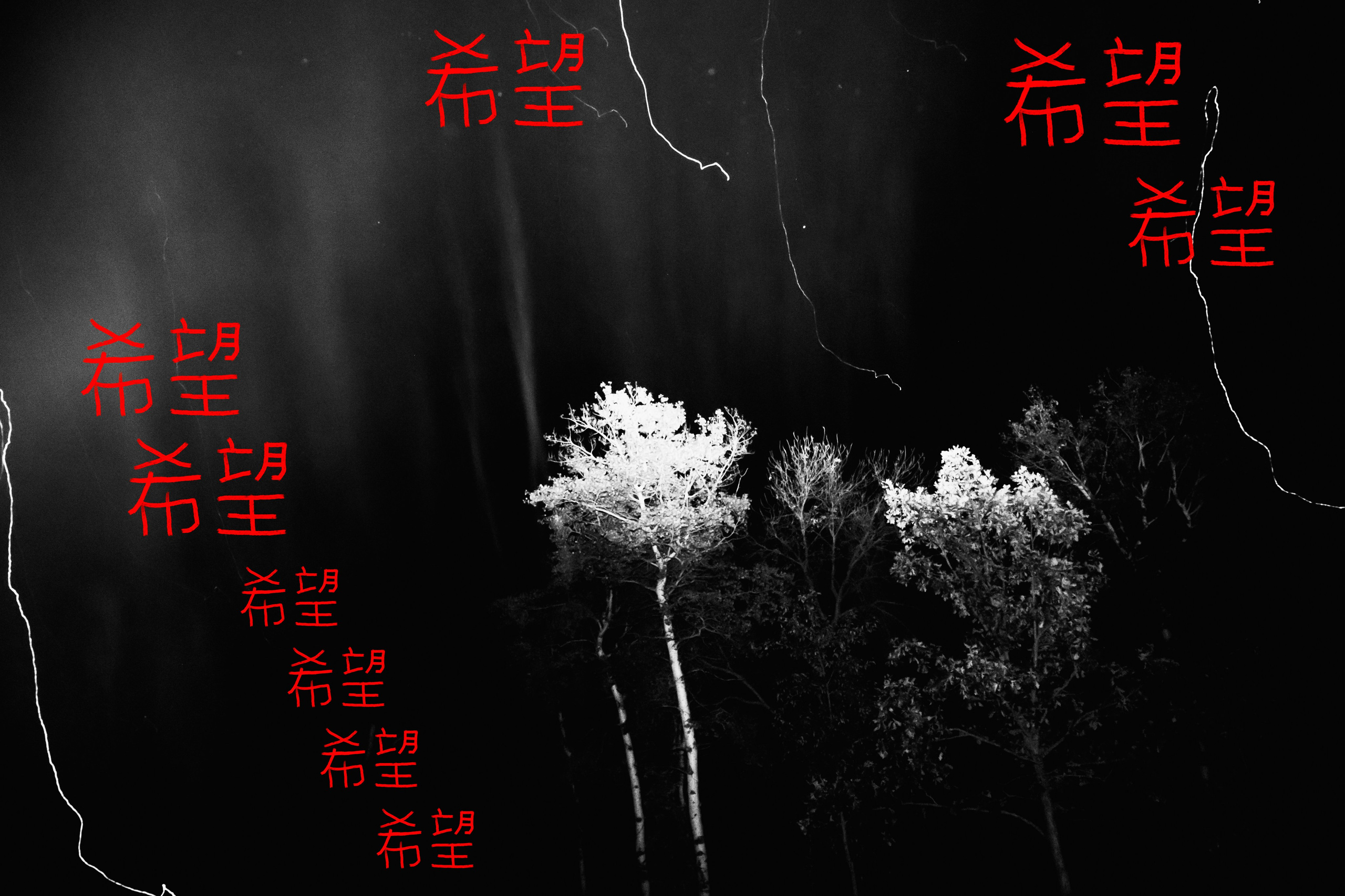 Hope — Надежда — Hope. Ekaterina Tsurkina-Appina Photography Canada