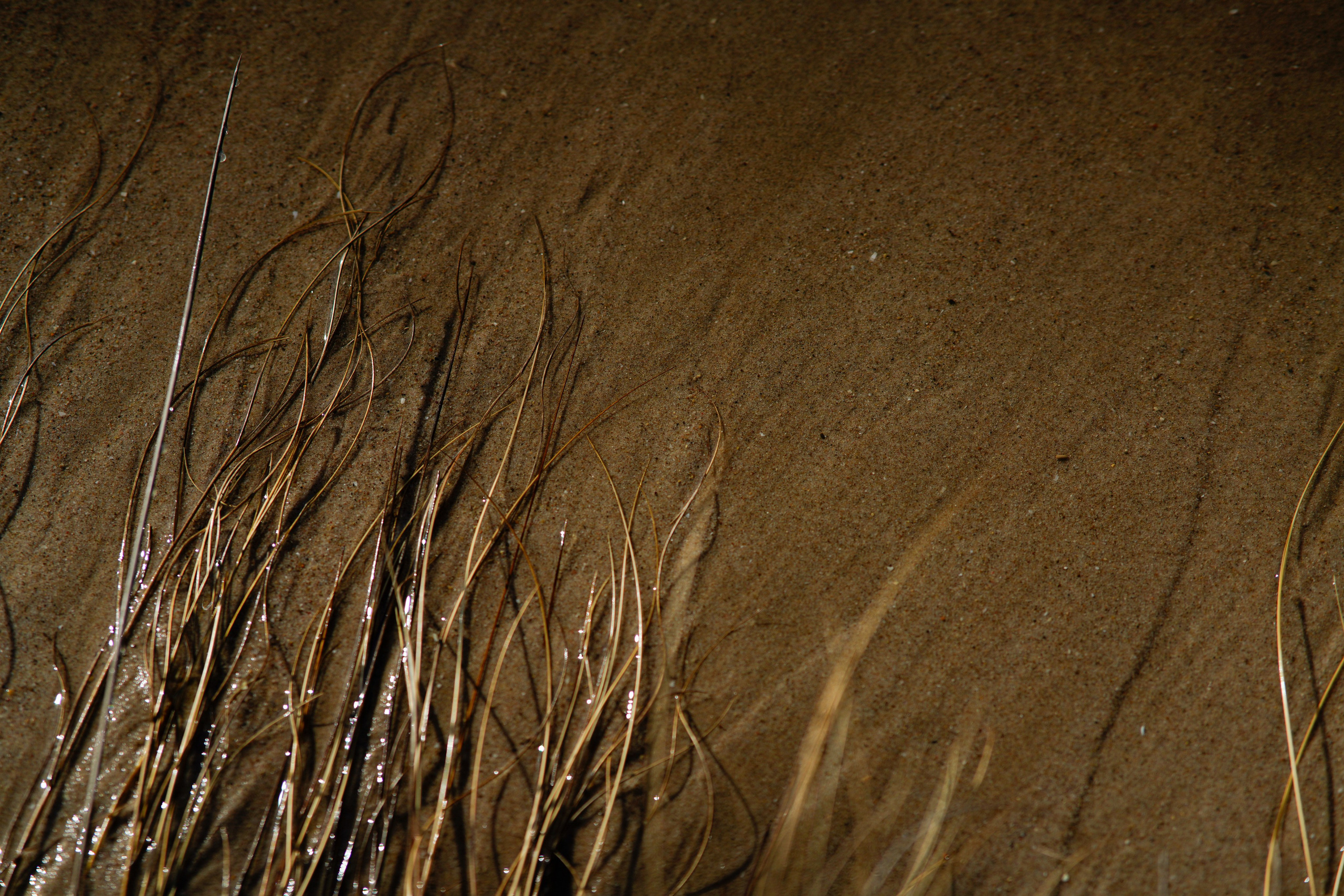 Iryna Martin Photography | Valencia