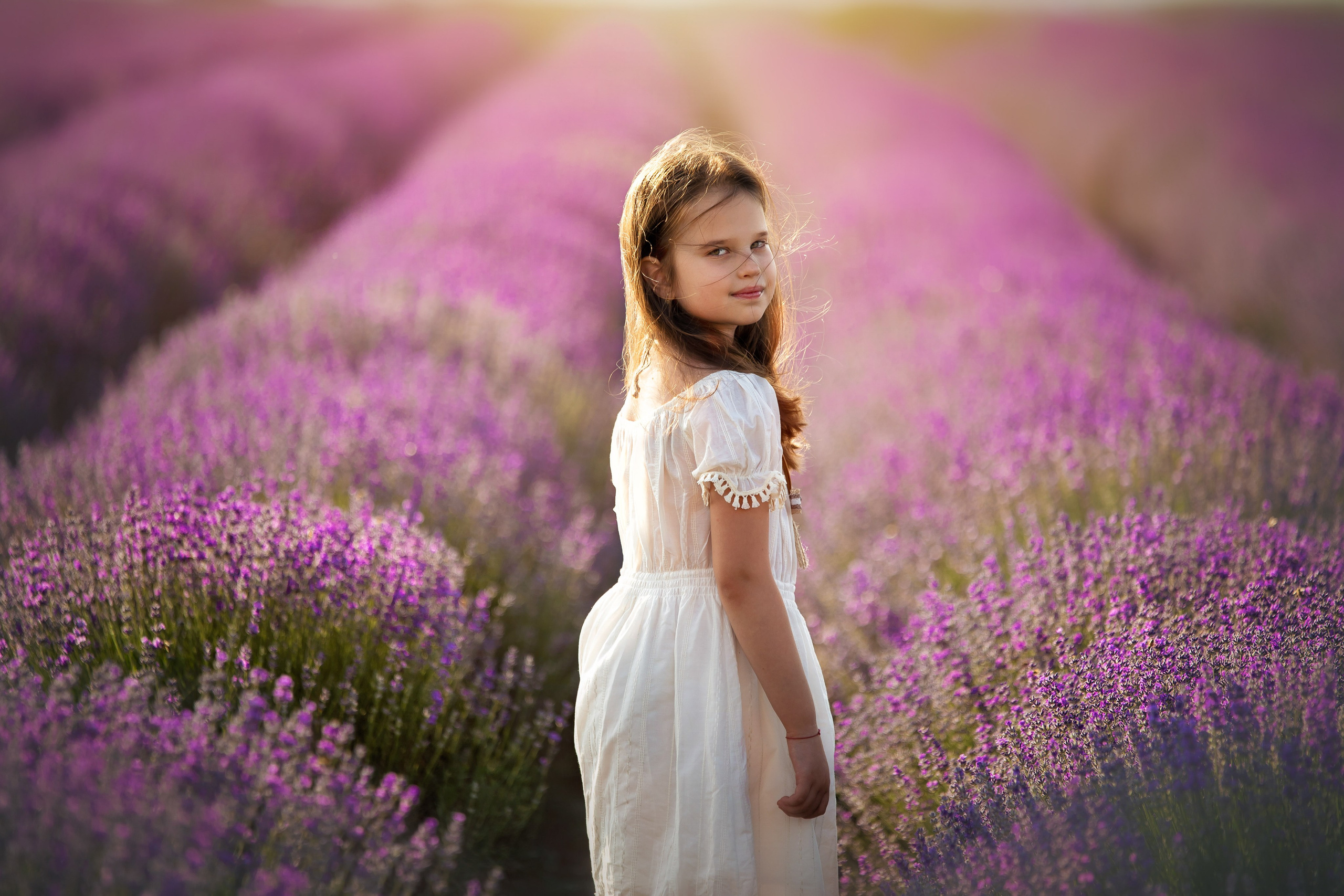 Tarife. Fotografie si videografie in Romania