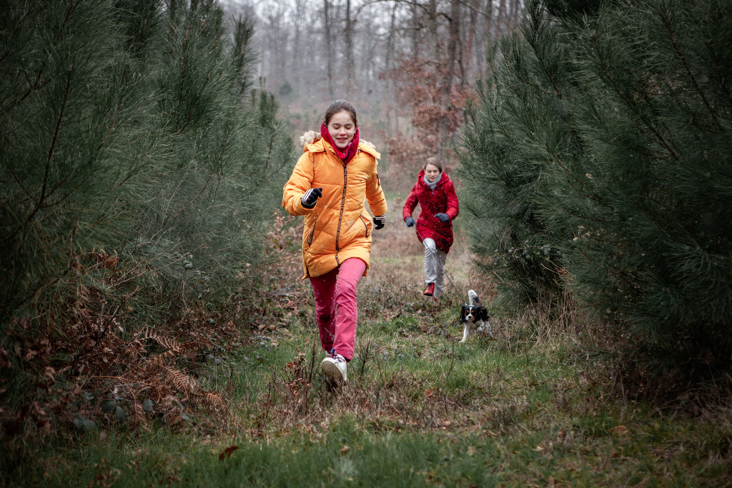 12 mois de l’année — ou Pourquoi il n’y a pas d’intérieur studios photo à Toulouse. Eugénie Smirnova — Photographe à Toulouse et dans le Sud-Ouest