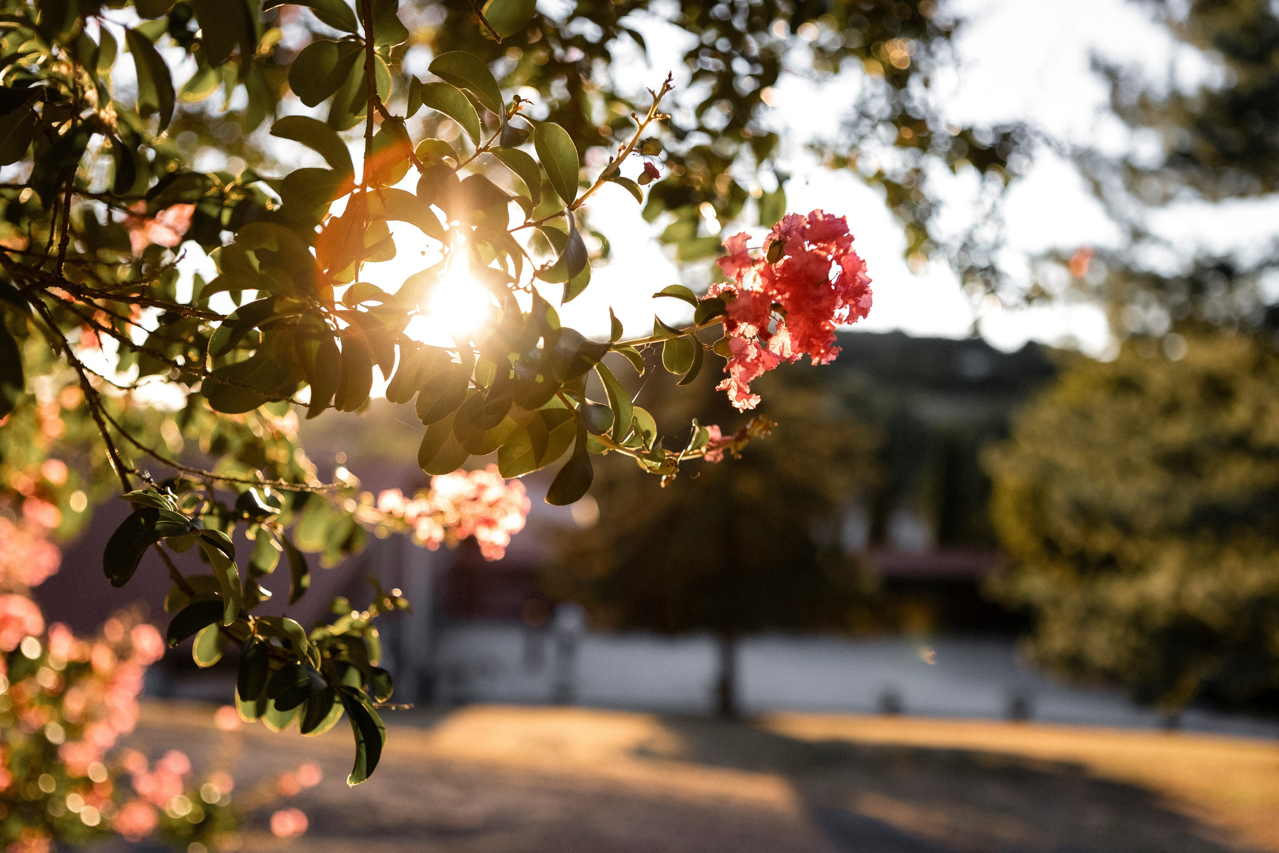 Mariage au Château de Loubéjac. Eugénie Smirnova — Photographe à Toulouse et dans le Sud-Ouest