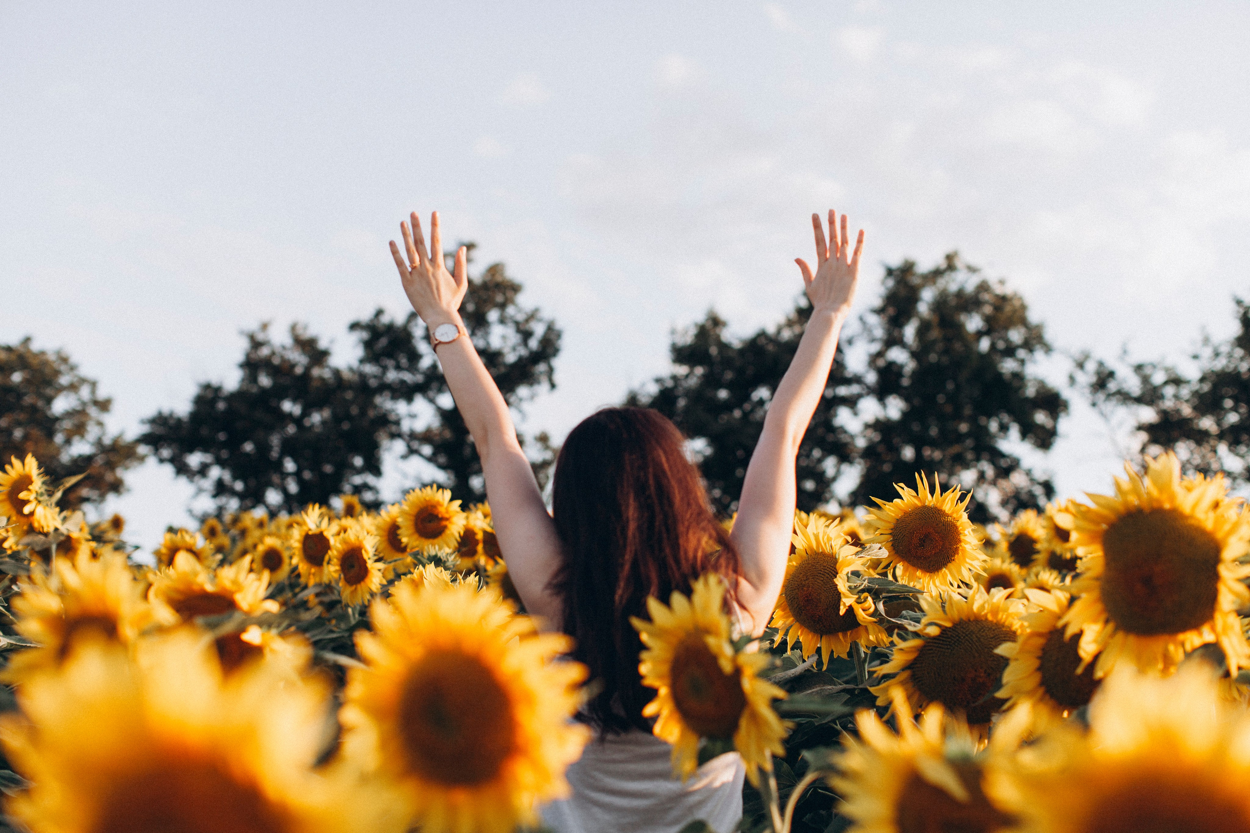 12 mois de l’année — ou Pourquoi il n’y a pas d’intérieur studios photo à Toulouse. Eugénie Smirnova — Photographe à Toulouse et dans le Sud-Ouest