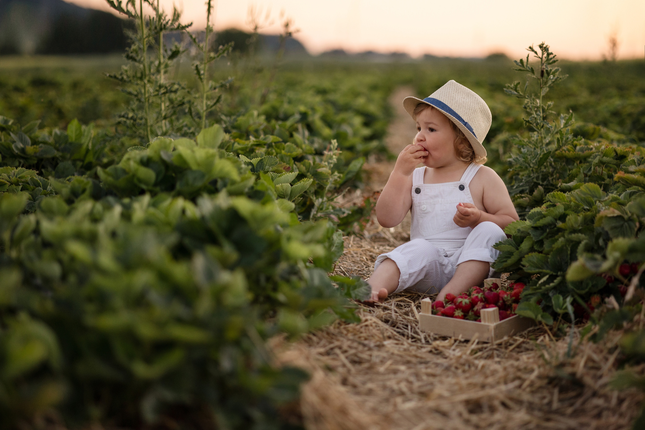 Dienstleistungen. Kinder- und Familienfotografin