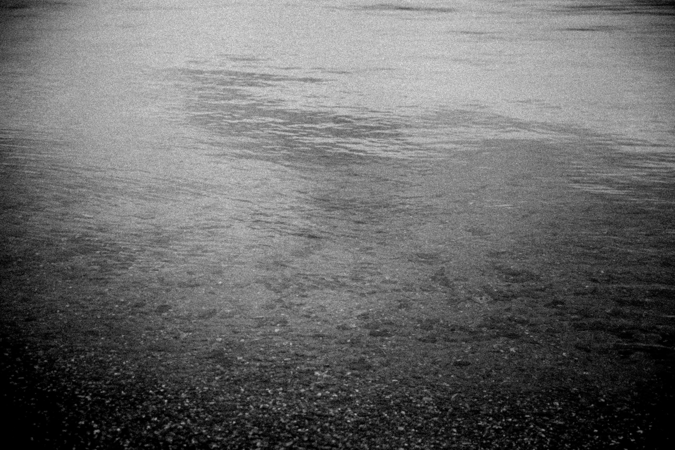 Inner house. Anastasia Shapoval violoniste et photographe. Annecy — Geneve