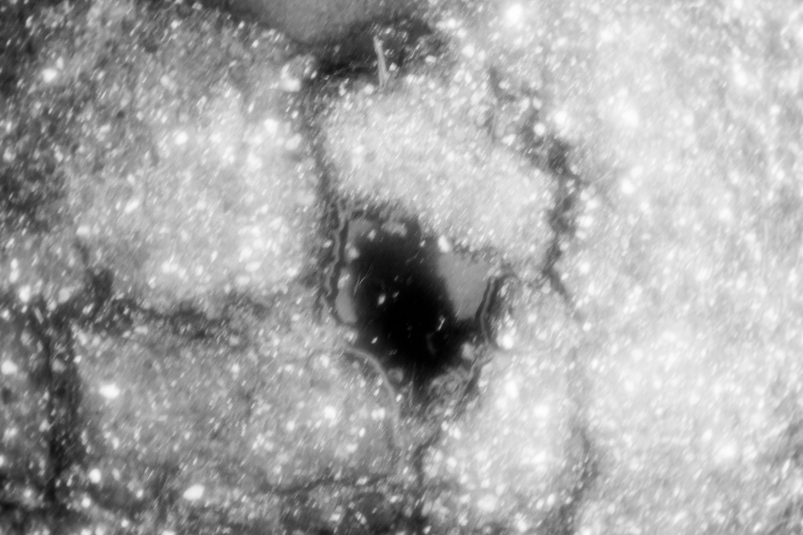 Inner house. Anastasia Shapoval violoniste et photographe. Annecy — Geneve